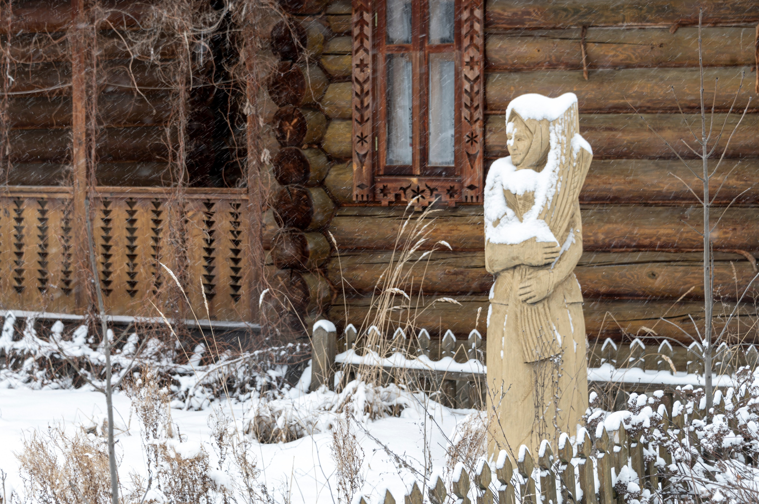Саранск. Январь 2024. Фотограф Роман Адлер