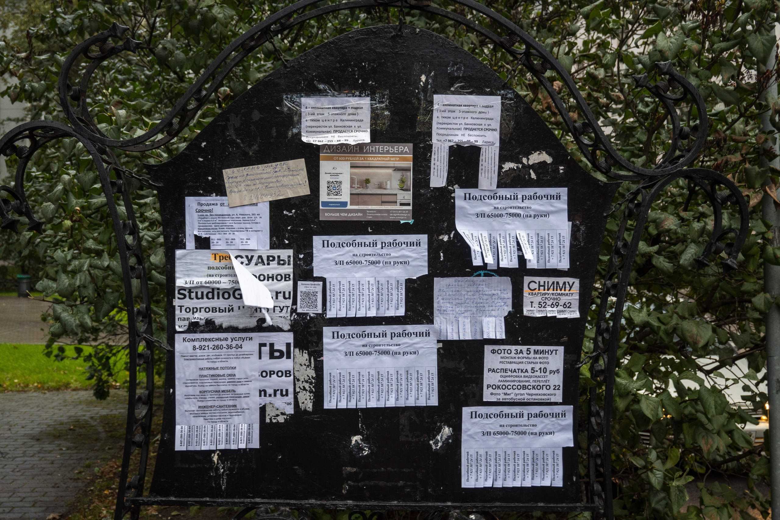 Калининград. Октябрь 2023. Фотограф Роман Адлер