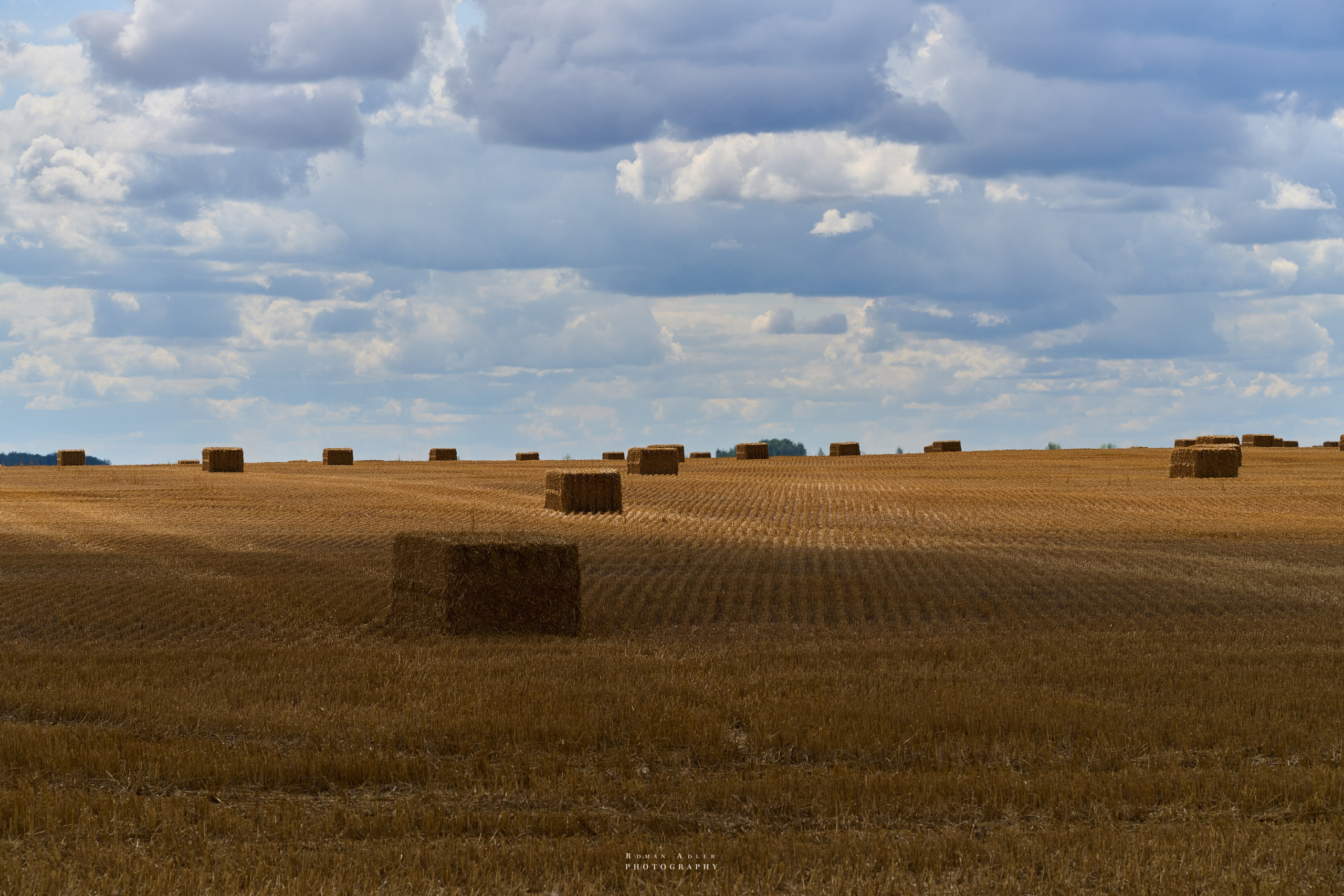 Воронеж. Август 2024. Фотограф Роман Адлер
