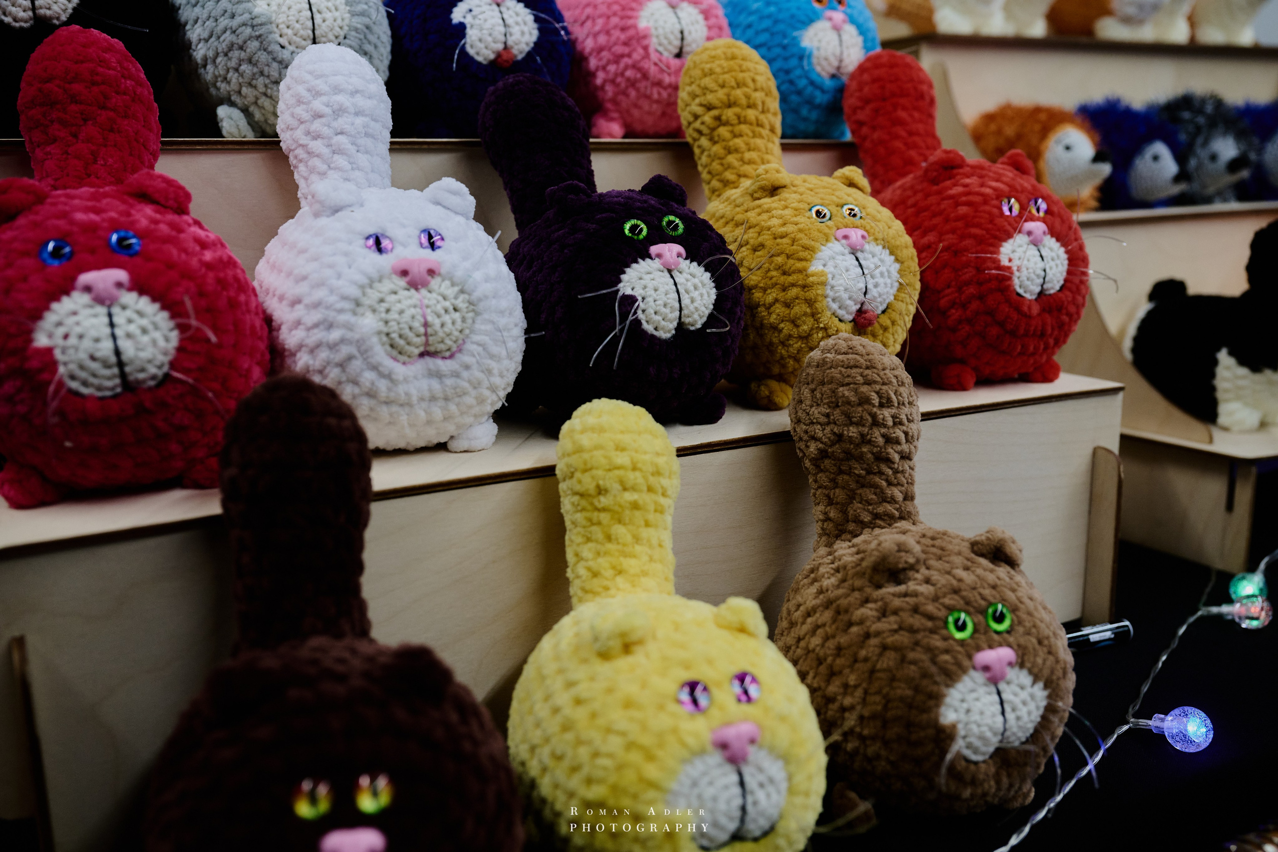 Студфест 2025 Москва. ВТБ Арена. 24 января 2025 года. Фотограф Роман Адлер