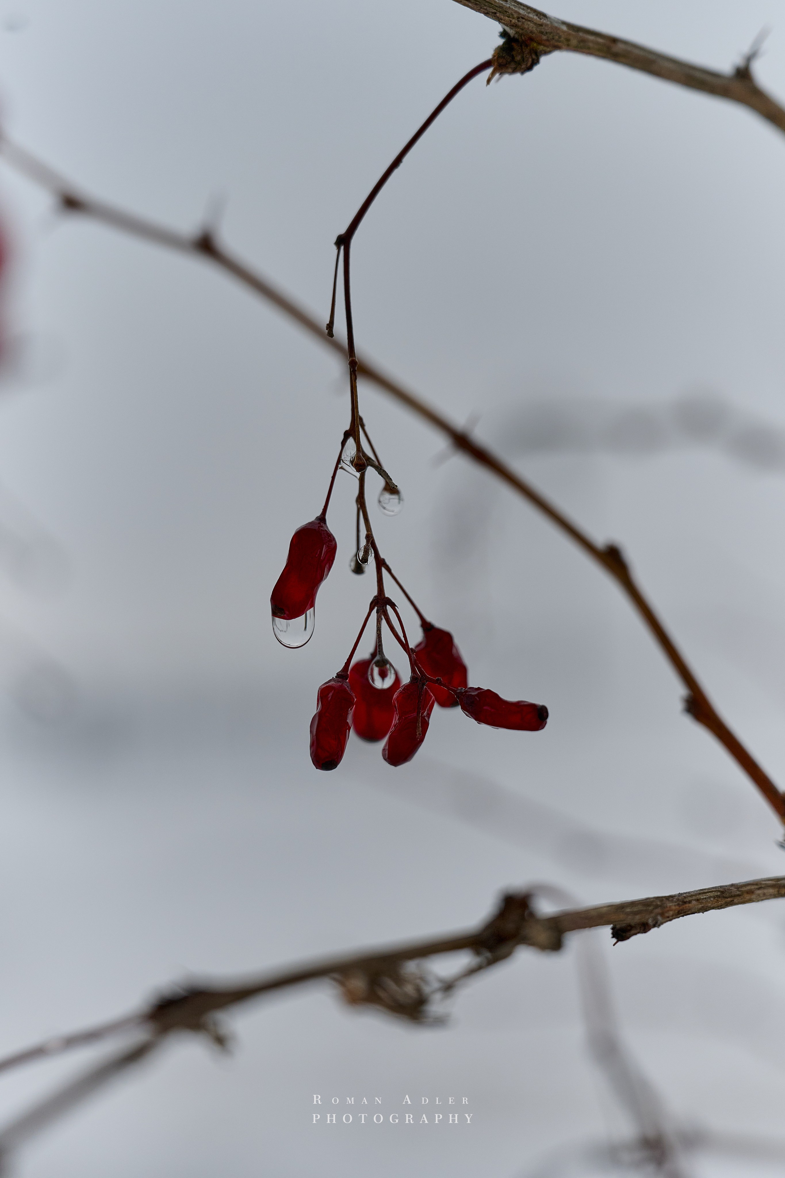 Тобольск. Март 2025. Фотограф Роман Адлер