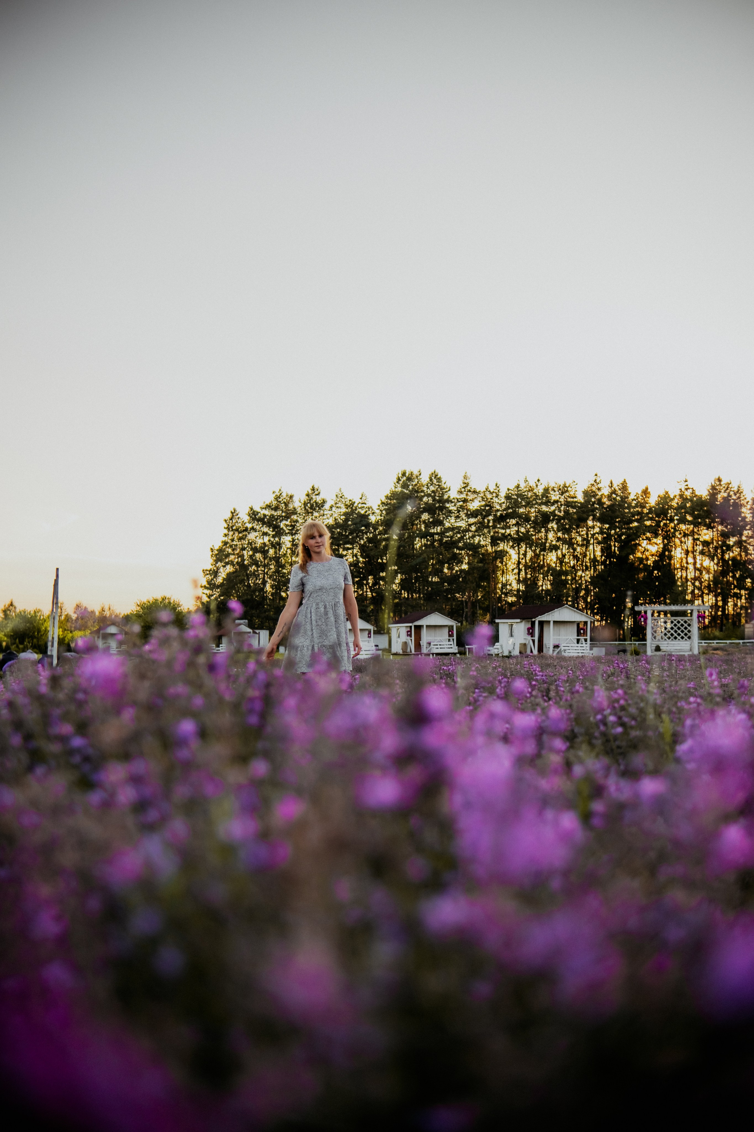 Семейная съемка в лованде. Nattie.ph