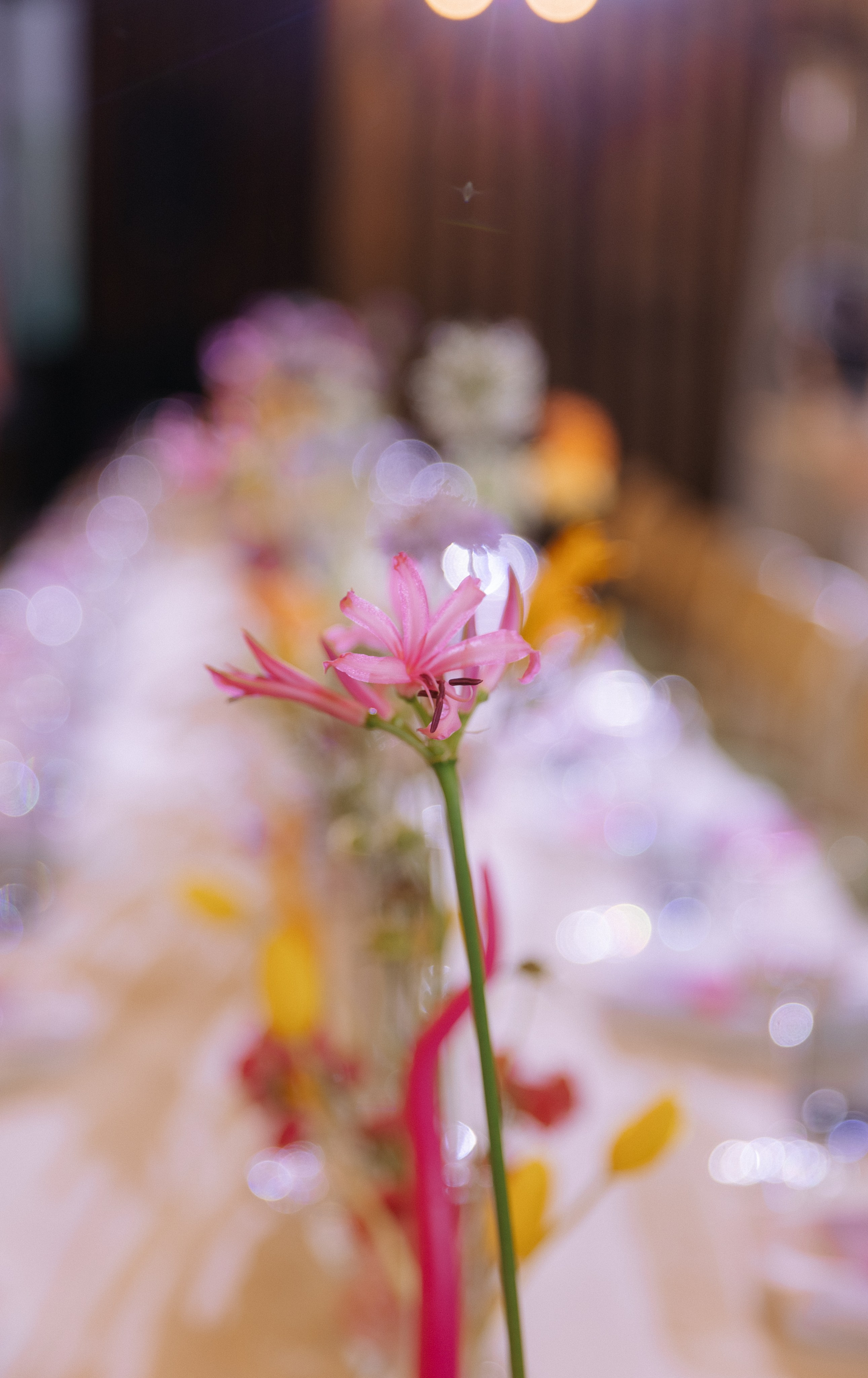 Когда, если не этим летом?. VENSKAYA WEDDING & EVENT PLANNER