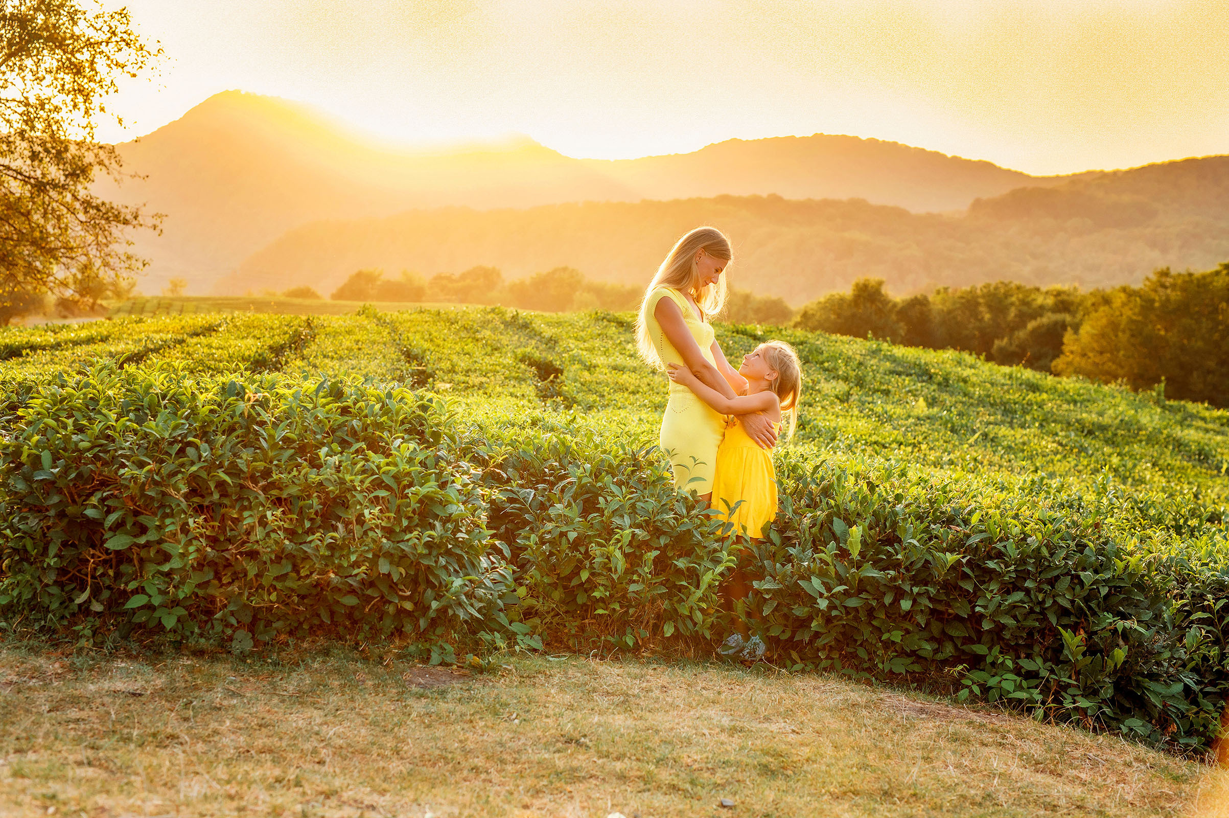 Мама и дочка в Чайных плантациях