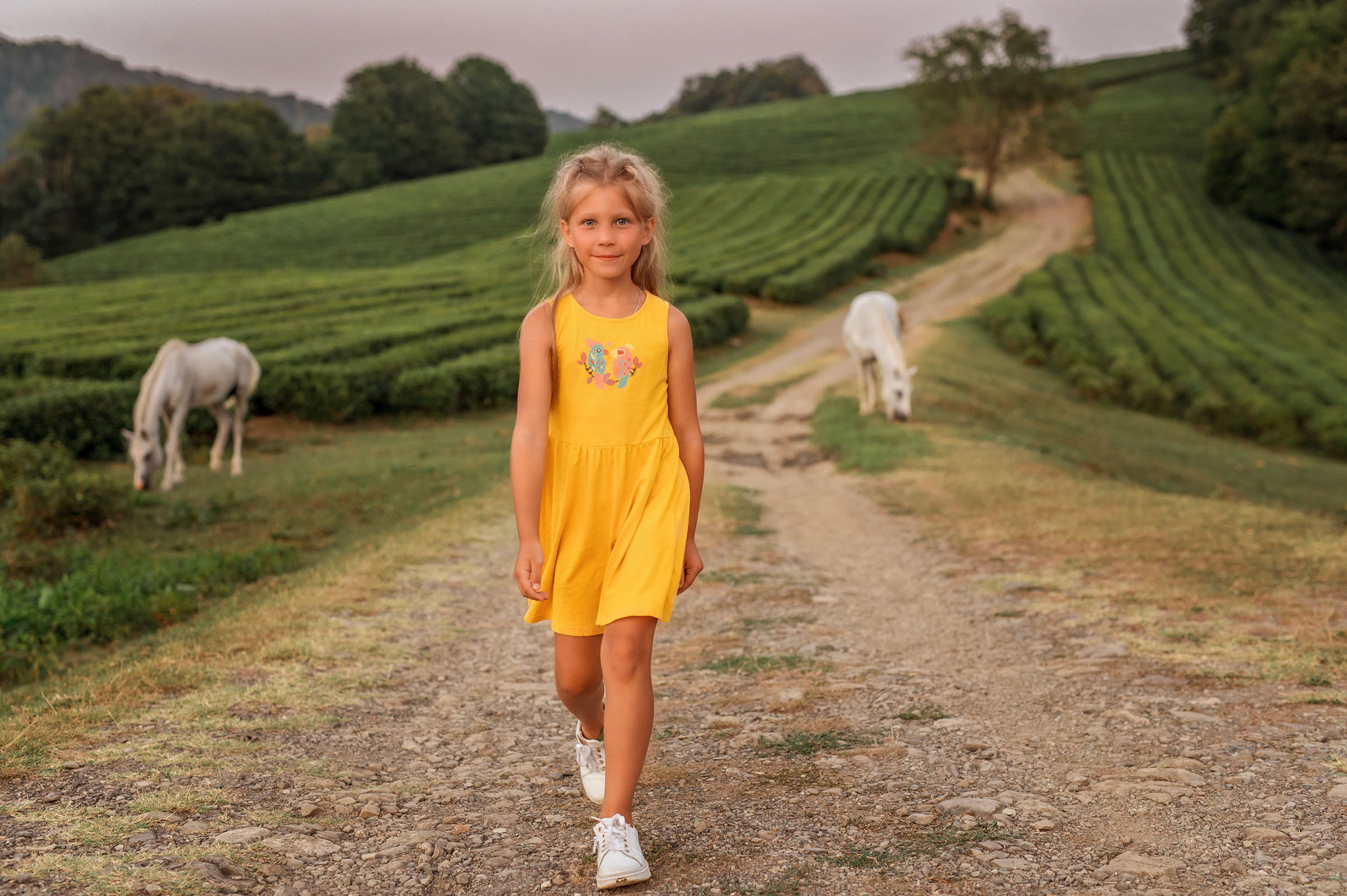 Чайные плантации. Фотограф в Сочи, Адлере, Сириусе и на Красной поляне Кушабаева Алёна