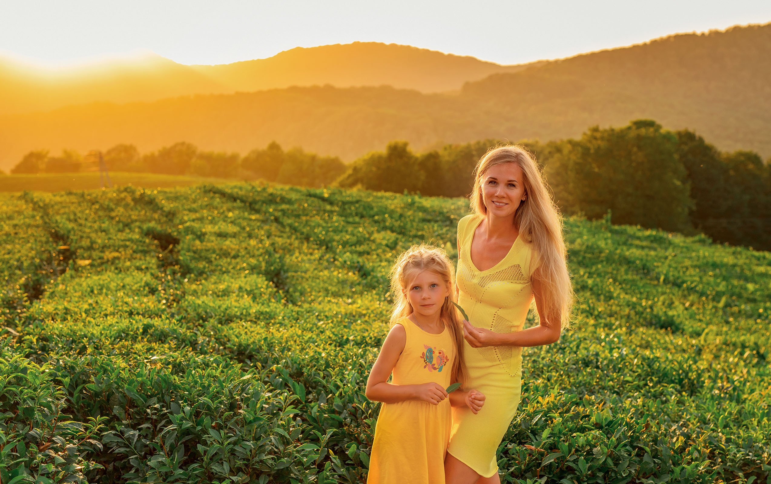 Чайные плантации. Фотограф в Сочи, Адлере, Сириусе и на Красной поляне Кушабаева Алёна