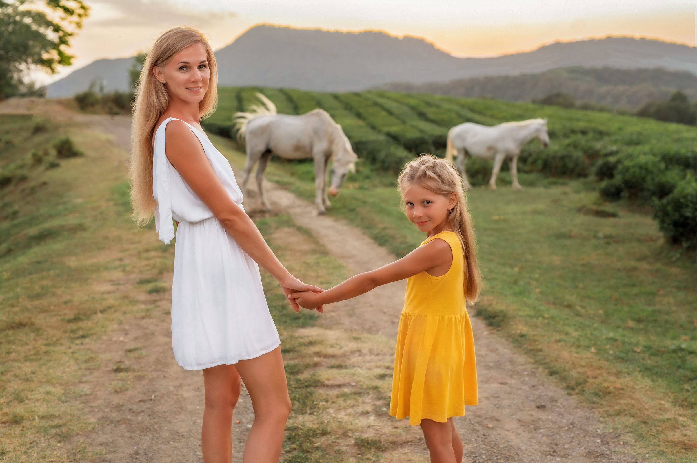 Чайные плантации. Фотограф в Сочи, Адлере, Сириусе и на Красной поляне Кушабаева Алёна