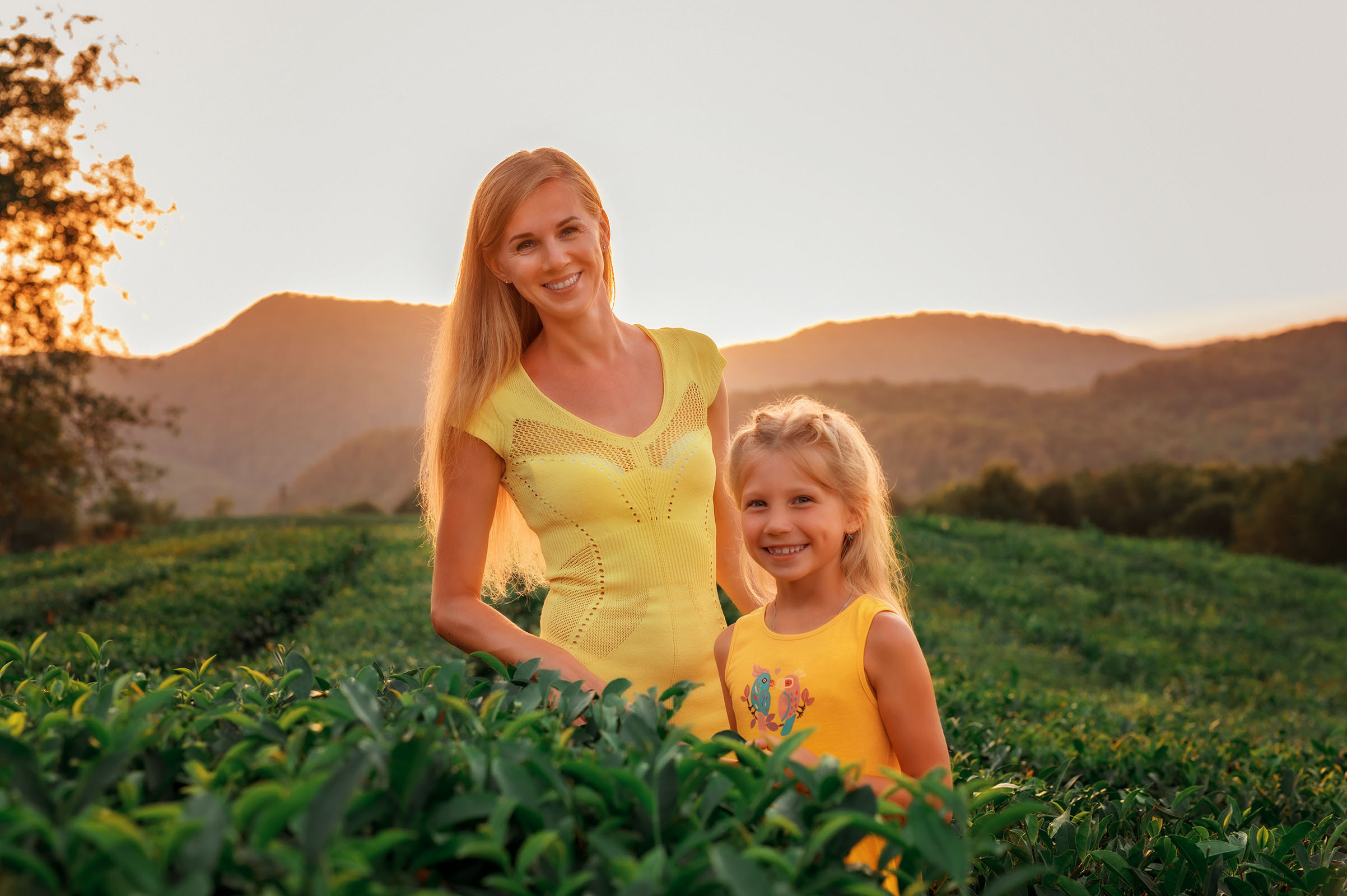 Чайные плантации. Фотограф в Сочи, Адлере, Сириусе и на Красной поляне Кушабаева Алёна
