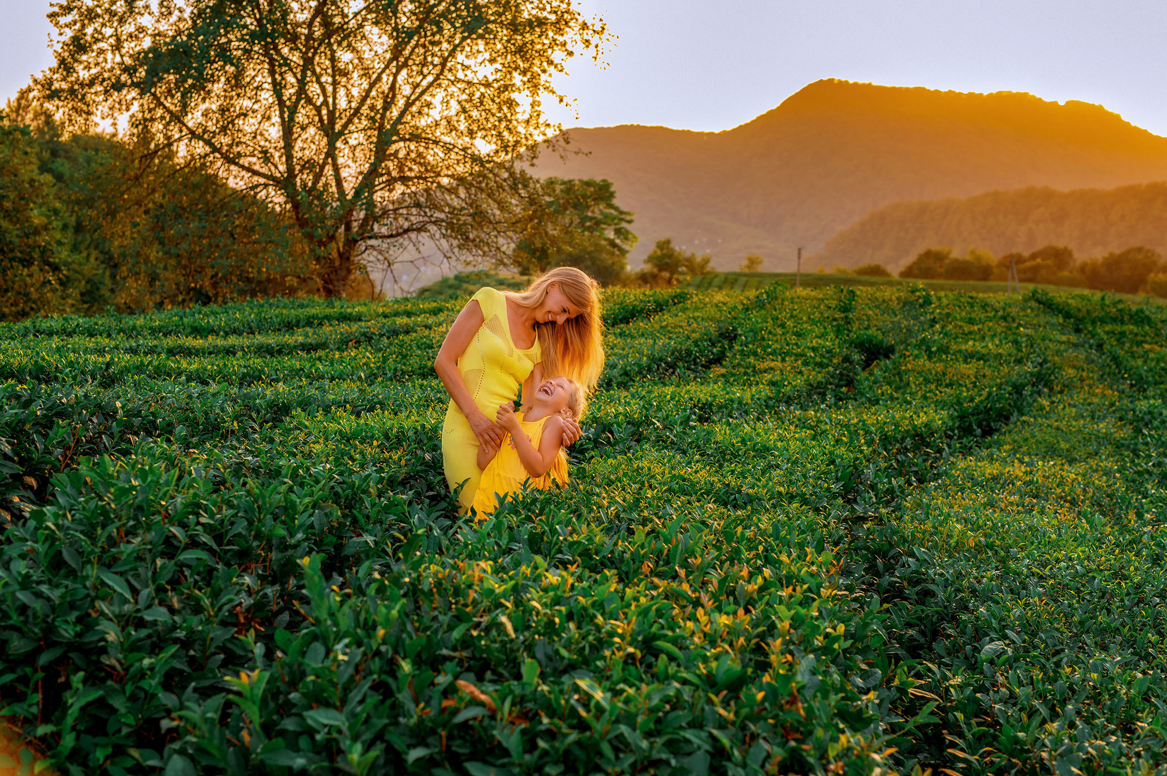 Чайные плантации. Фотограф в Сочи, Адлере, Сириусе и на Красной поляне Кушабаева Алёна