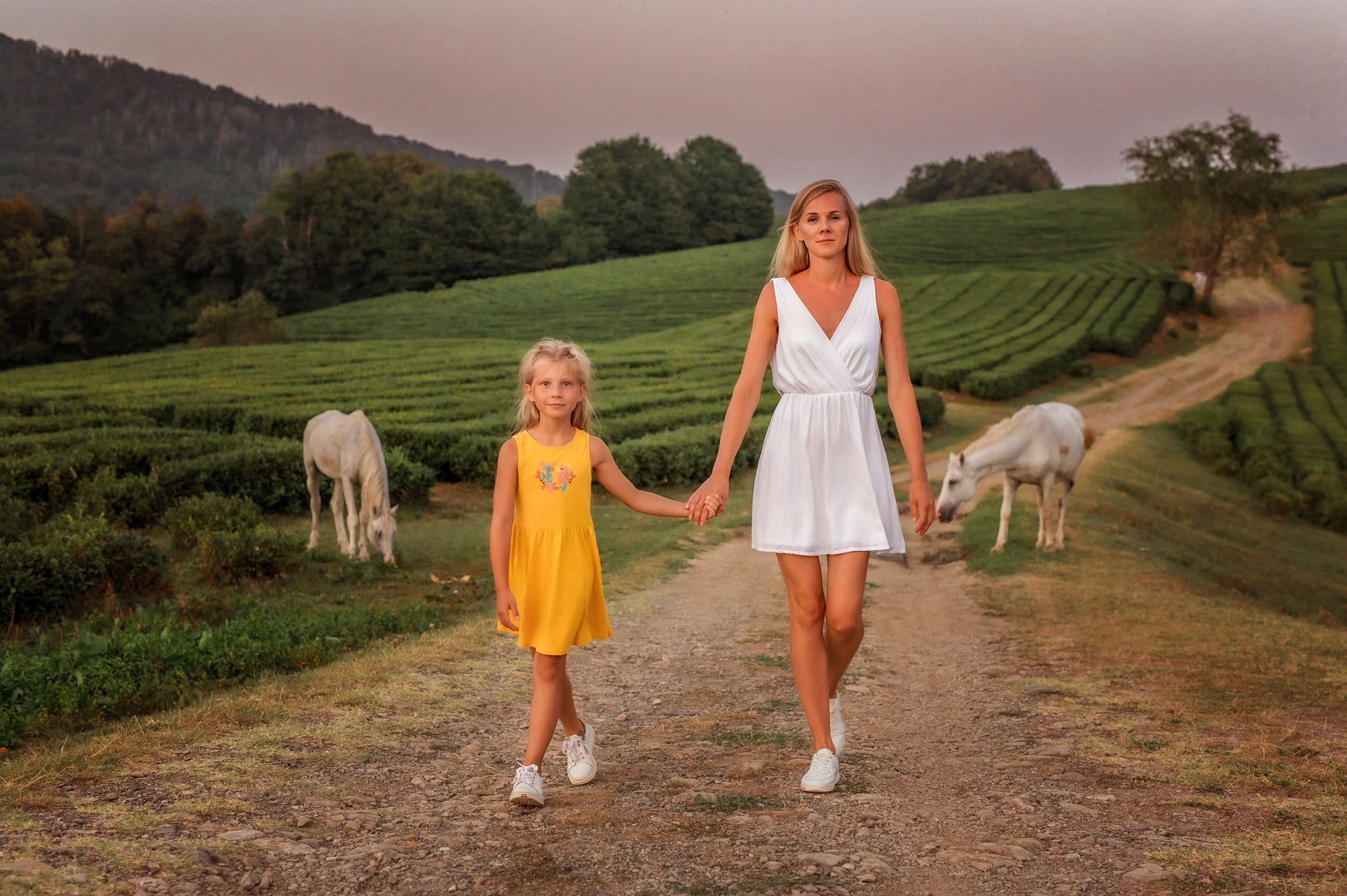 Чайные плантации. Фотограф в Сочи, Адлере, Сириусе и на Красной поляне Кушабаева Алёна