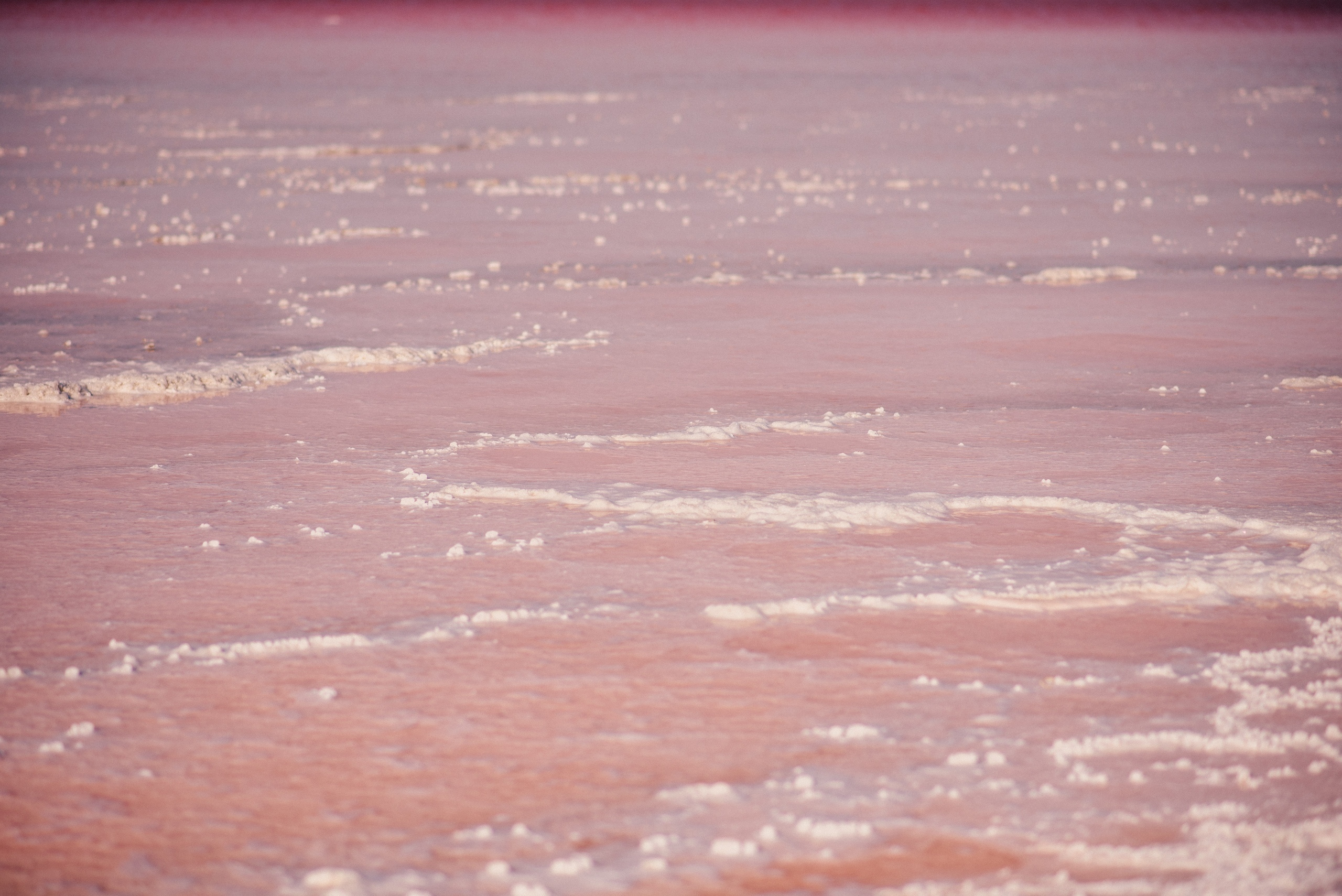 Семейный фотограф прогулка на природе. Фотограф в Санкт-Петербурге Юлия Стехова