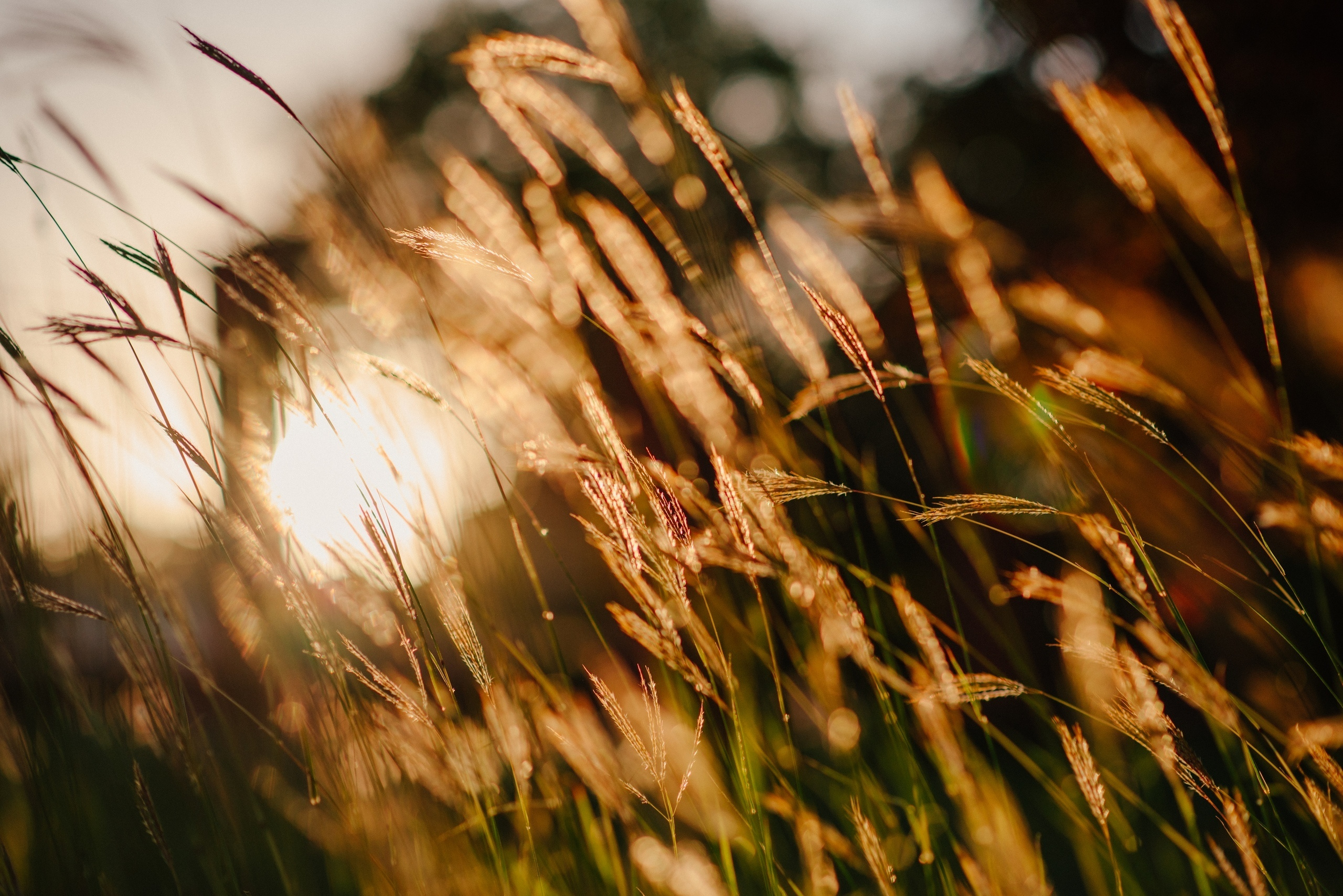 Прогулочная фотосессия, семейная. Фотограф в Санкт-Петербурге Юлия Стехова