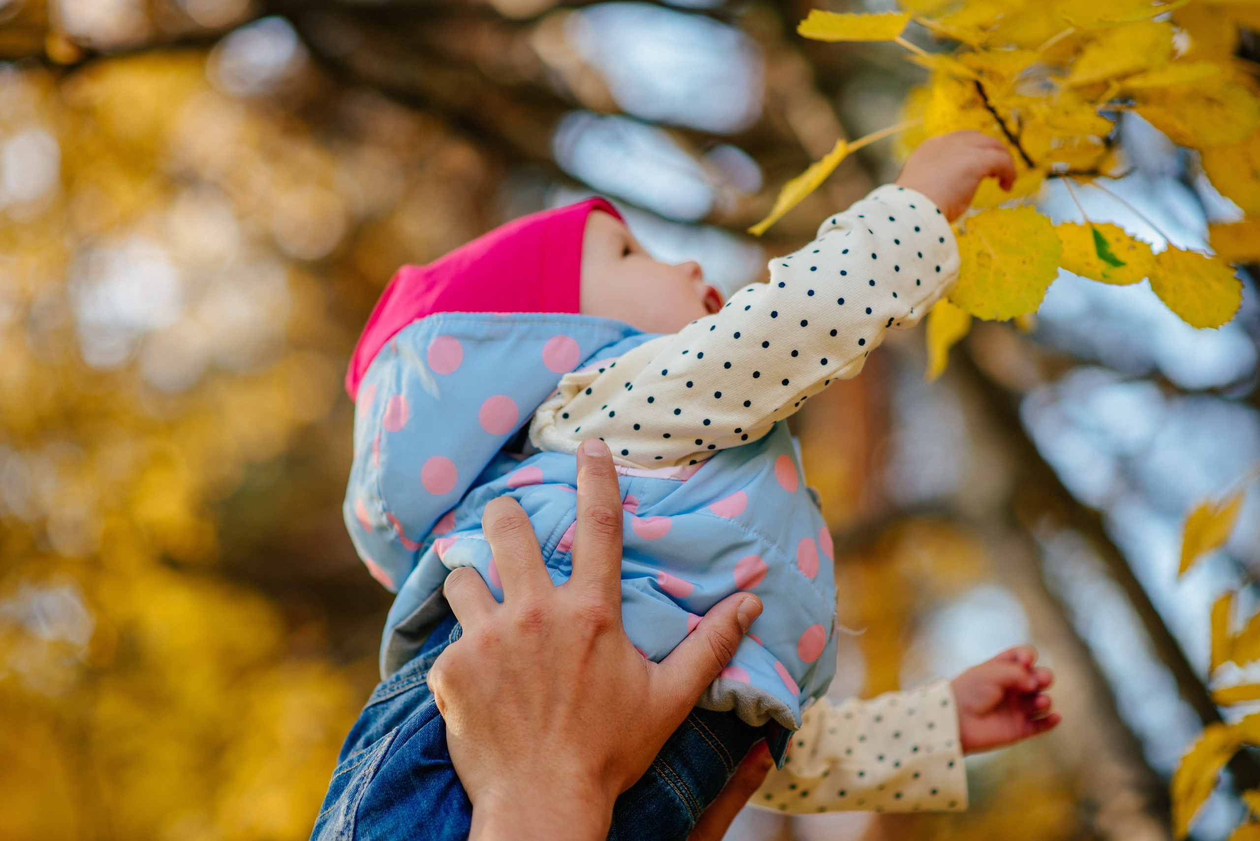 Октябрь. Фотограф в Санкт-Петербурге Юлия Стехова