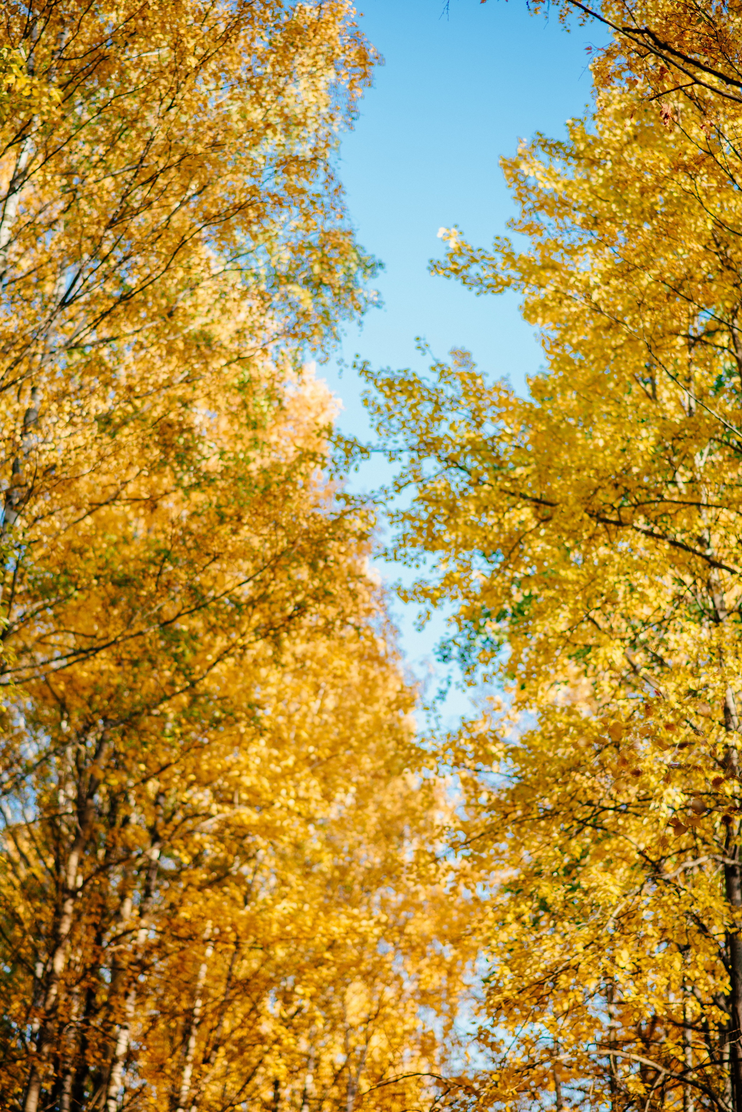 Октябрь. Фотограф в Санкт-Петербурге Юлия Стехова