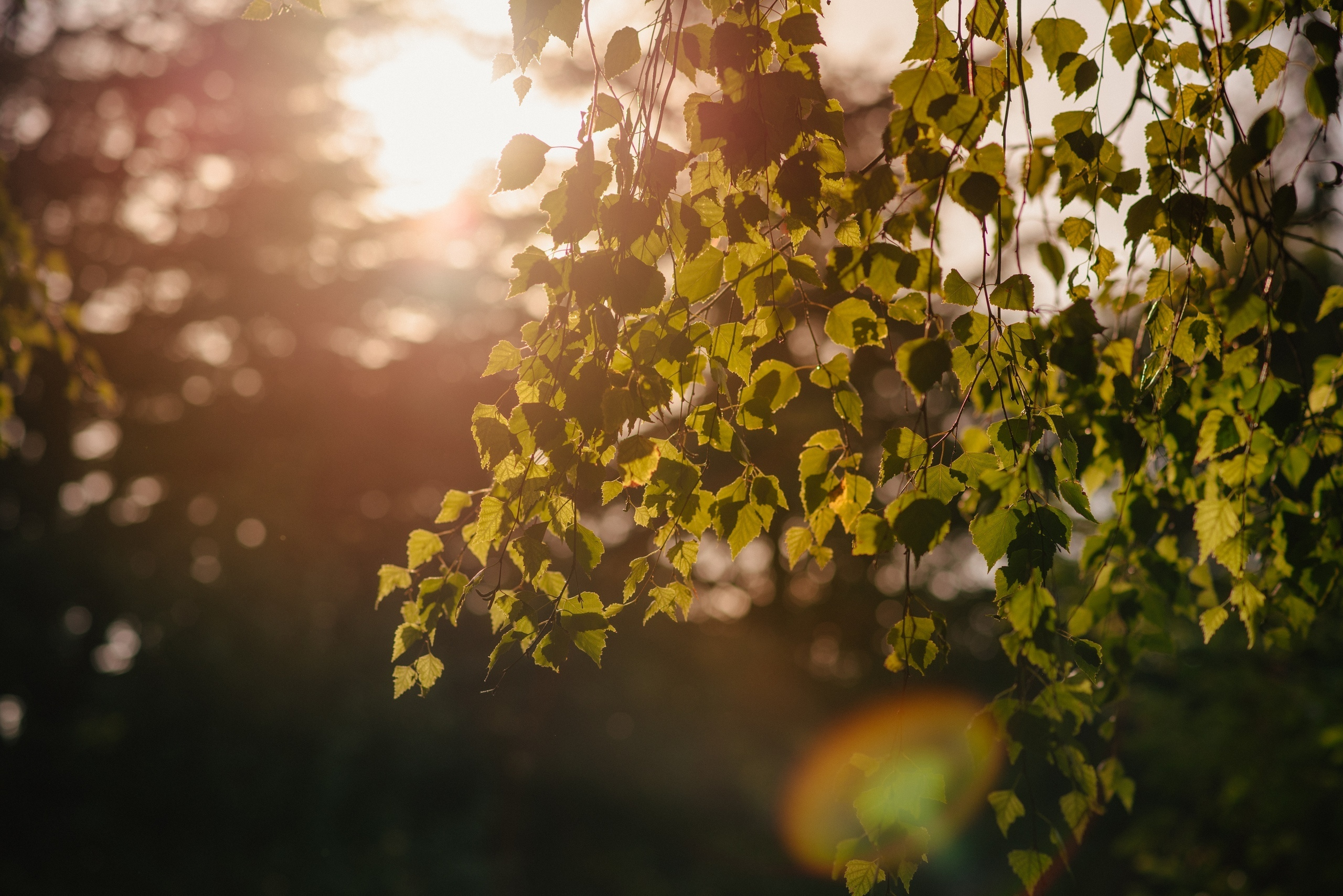 Прогулочная фотосессия, семейная. Фотограф в Санкт-Петербурге Юлия Стехова