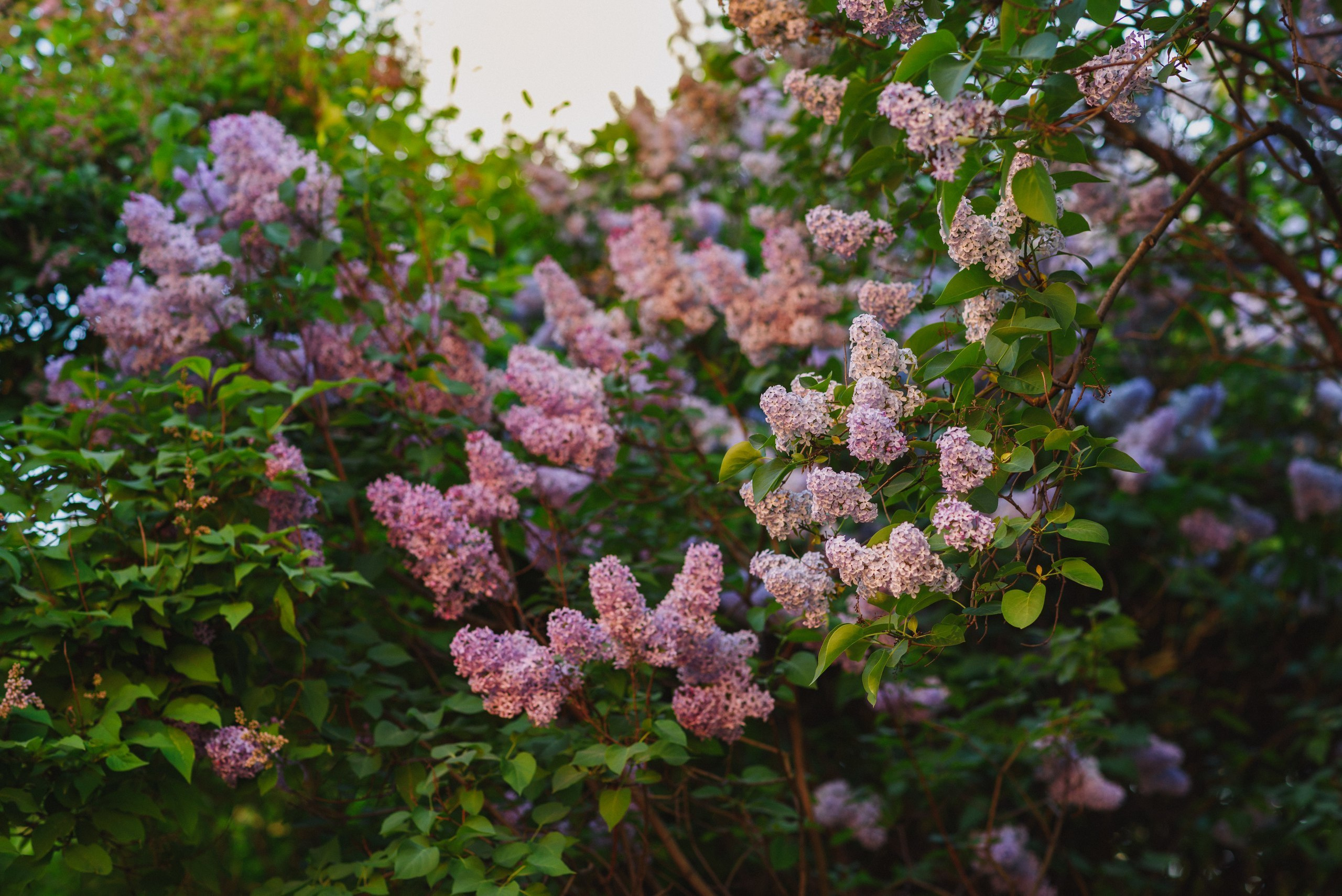 Творческая рекламная фотосъёмка. Фотограф в Санкт-Петербурге Юлия Стехова