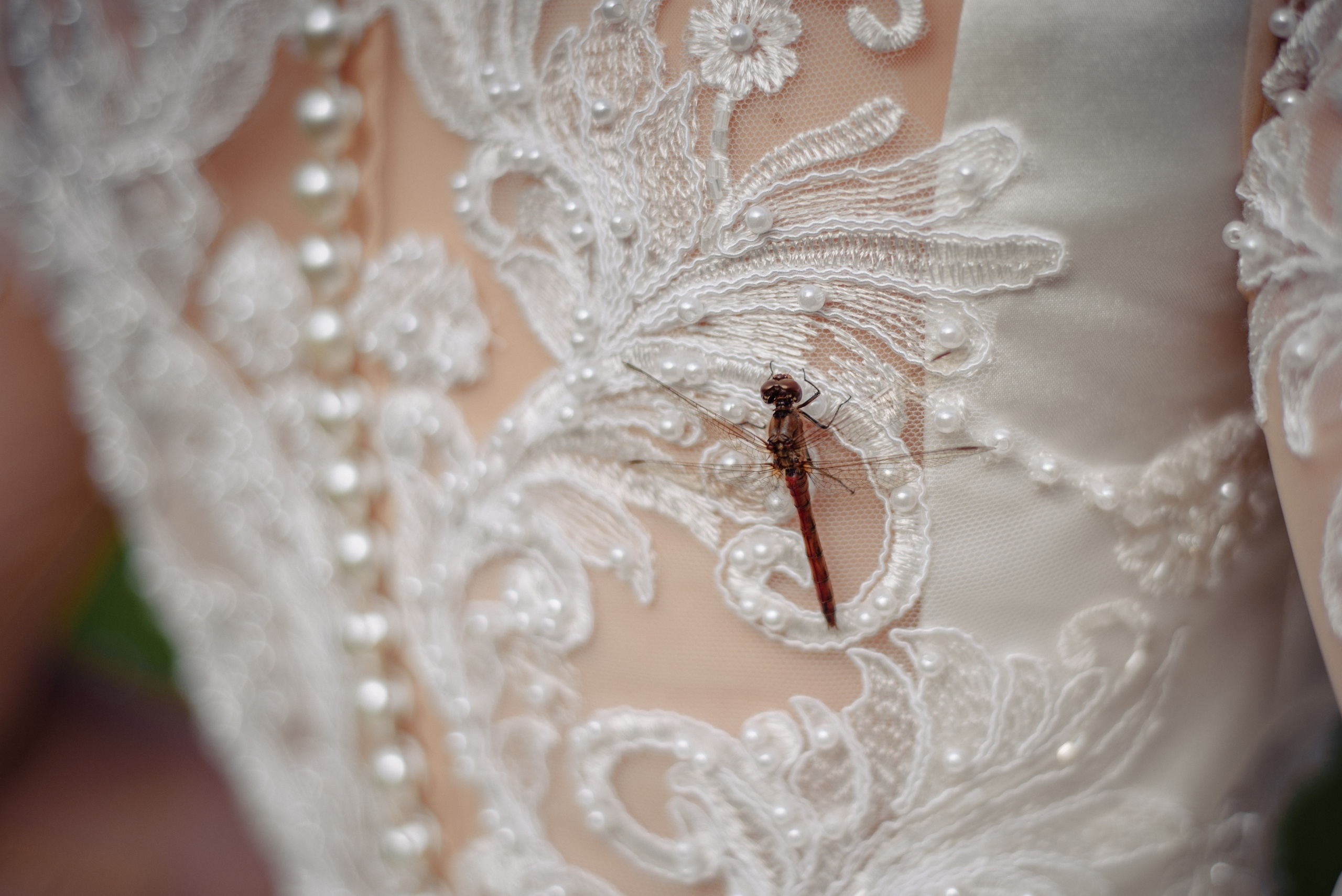 Фотограф. Фотограф в Санкт-Петербурге Юлия Стехова