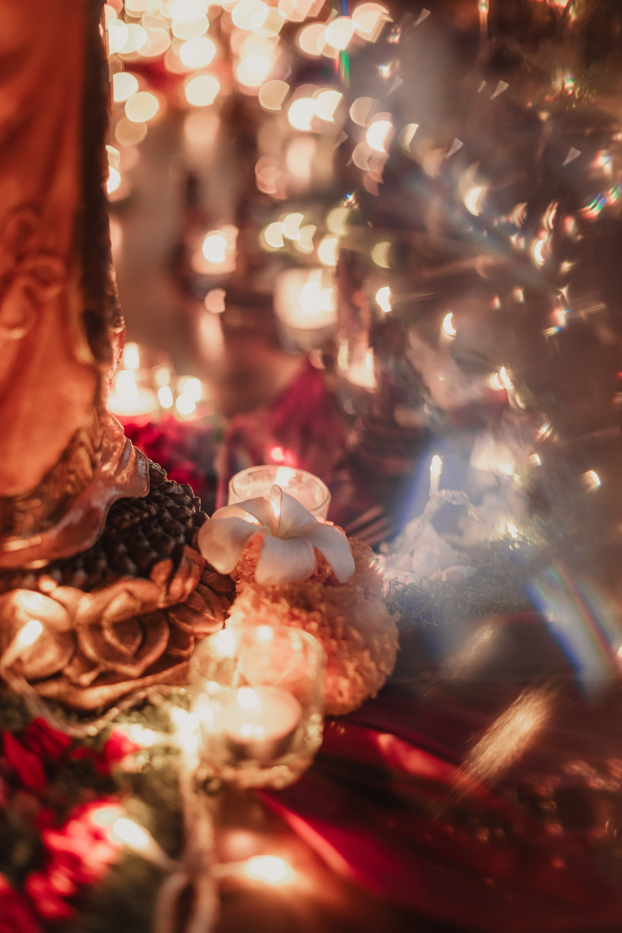 Navaratri w Bhakti Bliss at Dragon tea temple. Мариам Багдасарян