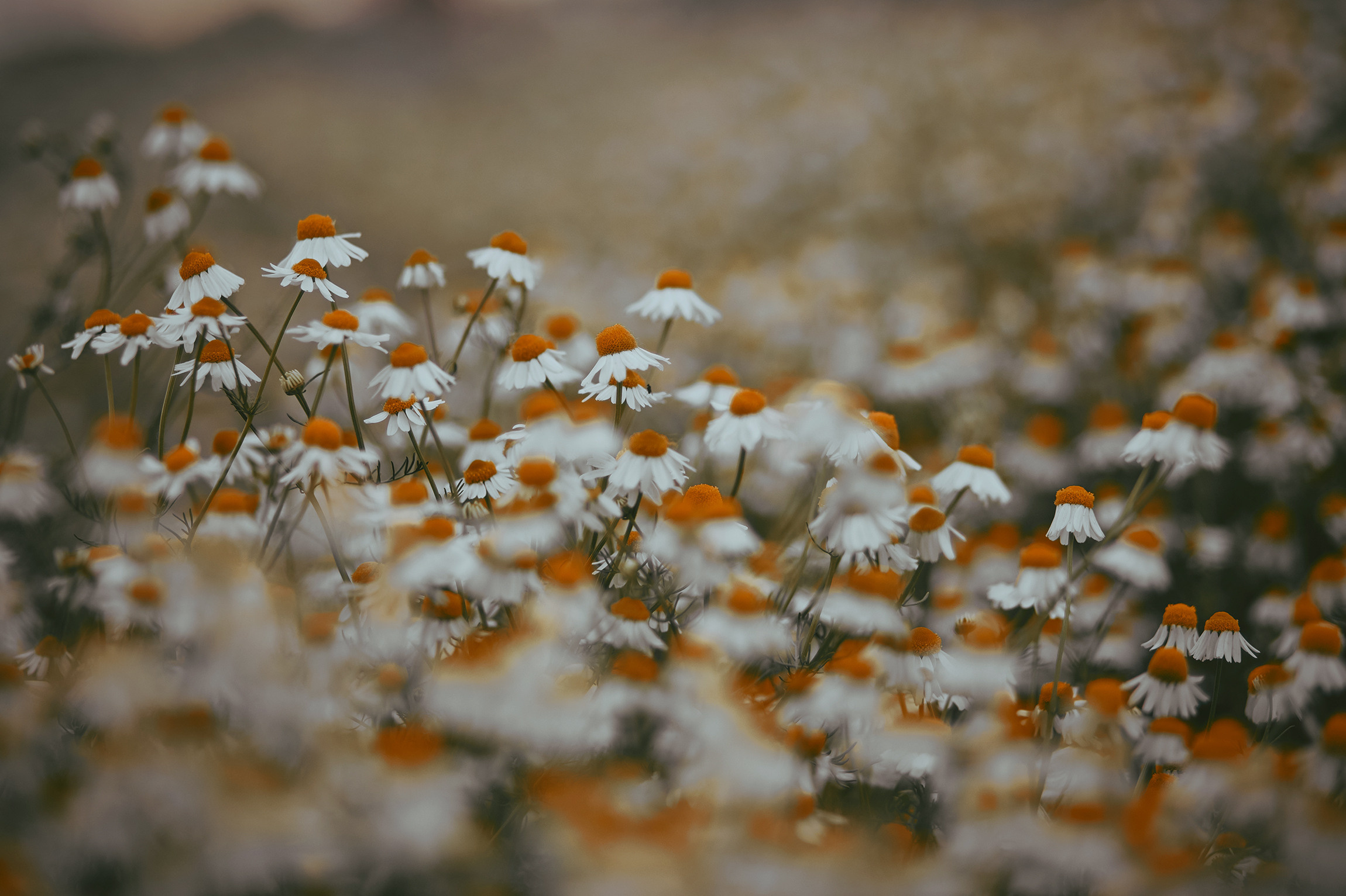 01|06|20. Анастасия Марунич | Блогер | Ставрополь