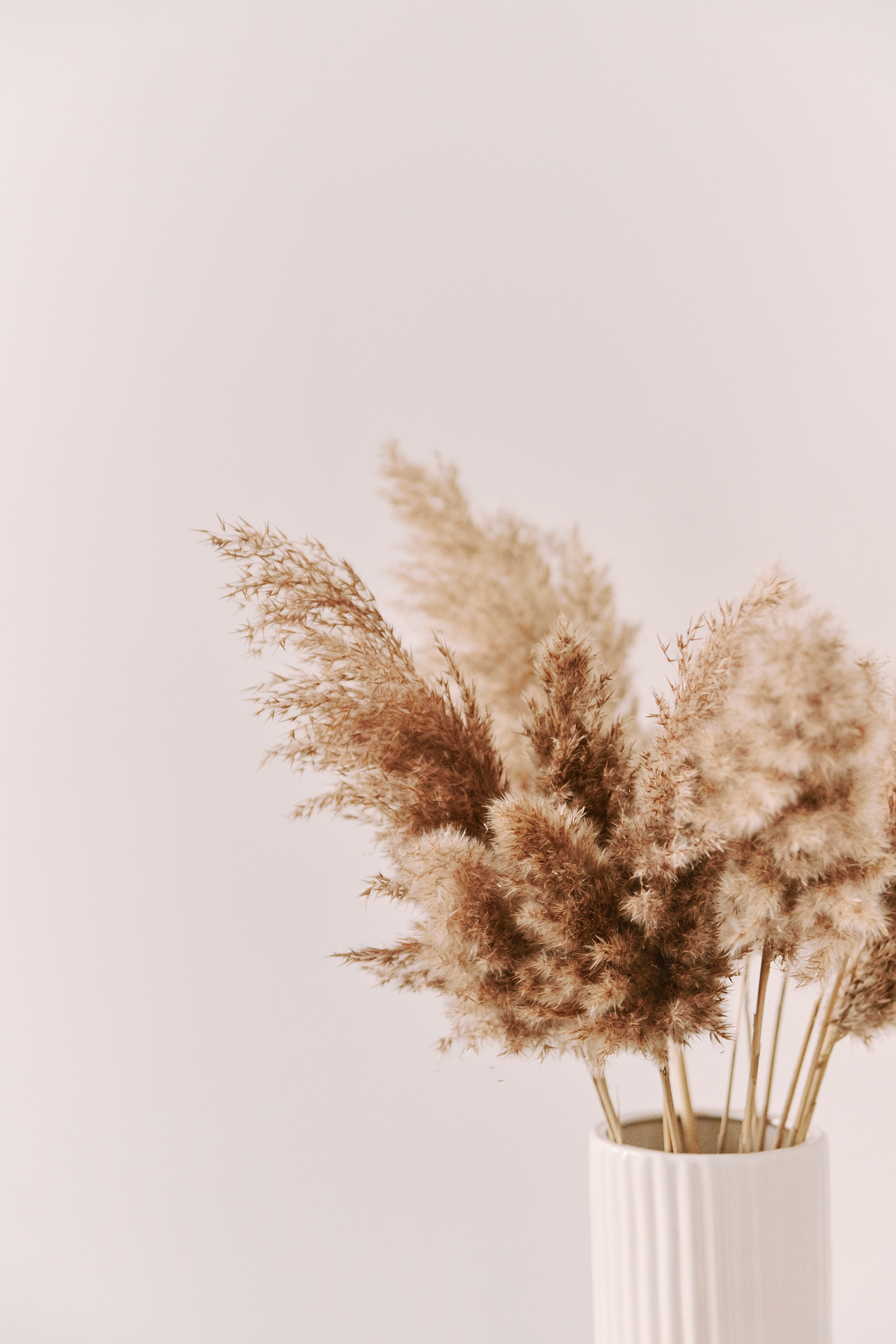 26|11|22. Анастасия Марунич | Блогер | Ставрополь