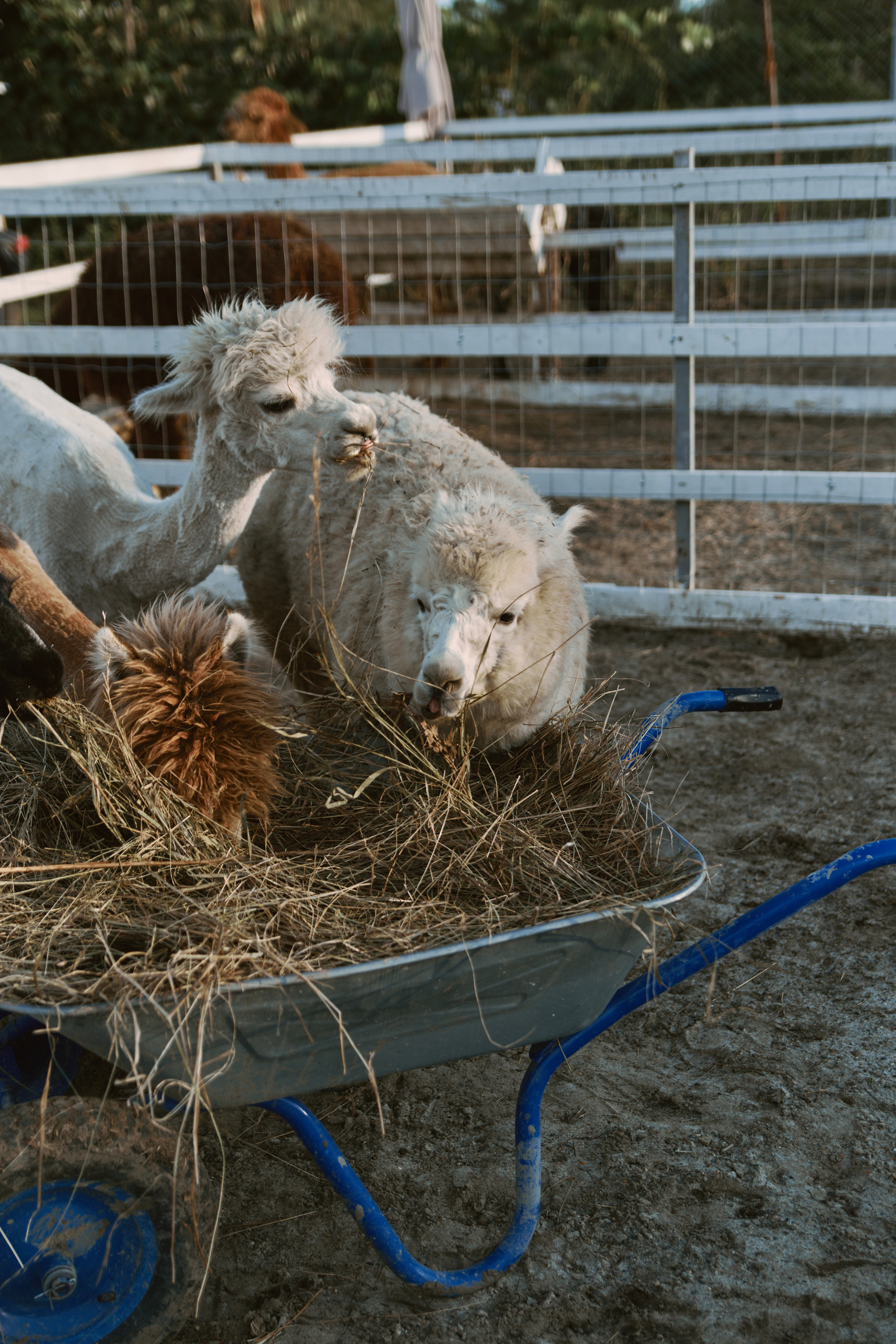 26|09|22. Анастасия Марунич | Блогер | Ставрополь