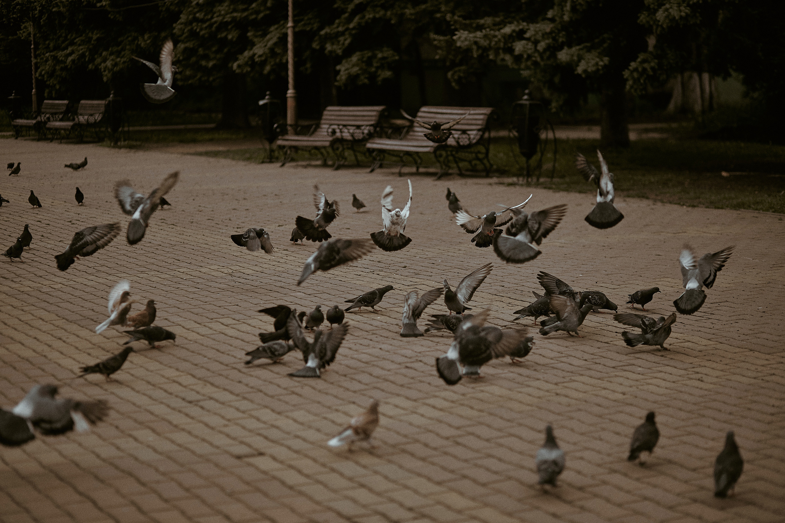 27|05|21. Анастасия Марунич | Блогер | Ставрополь