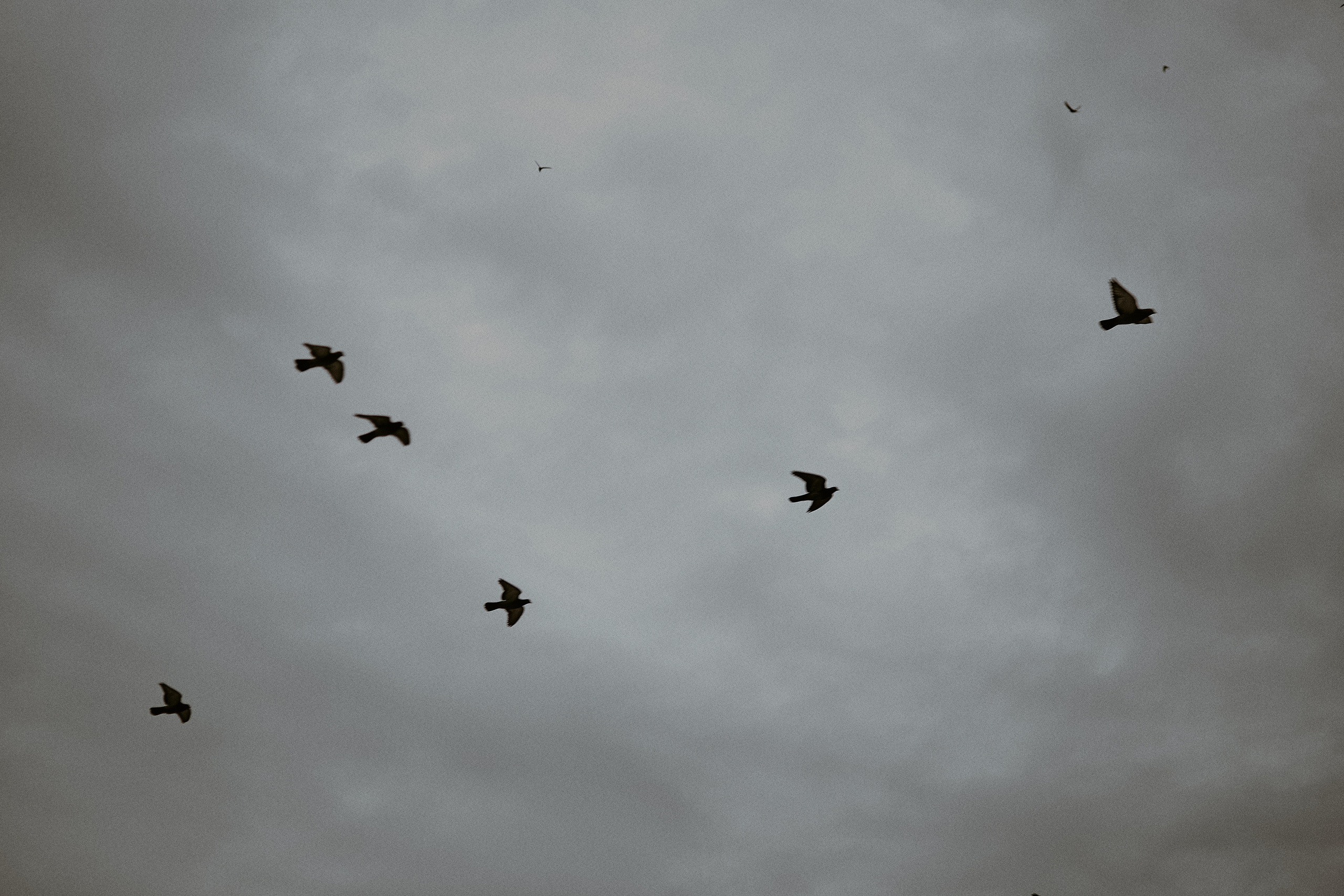 27|05|21. Анастасия Марунич | Блогер | Ставрополь