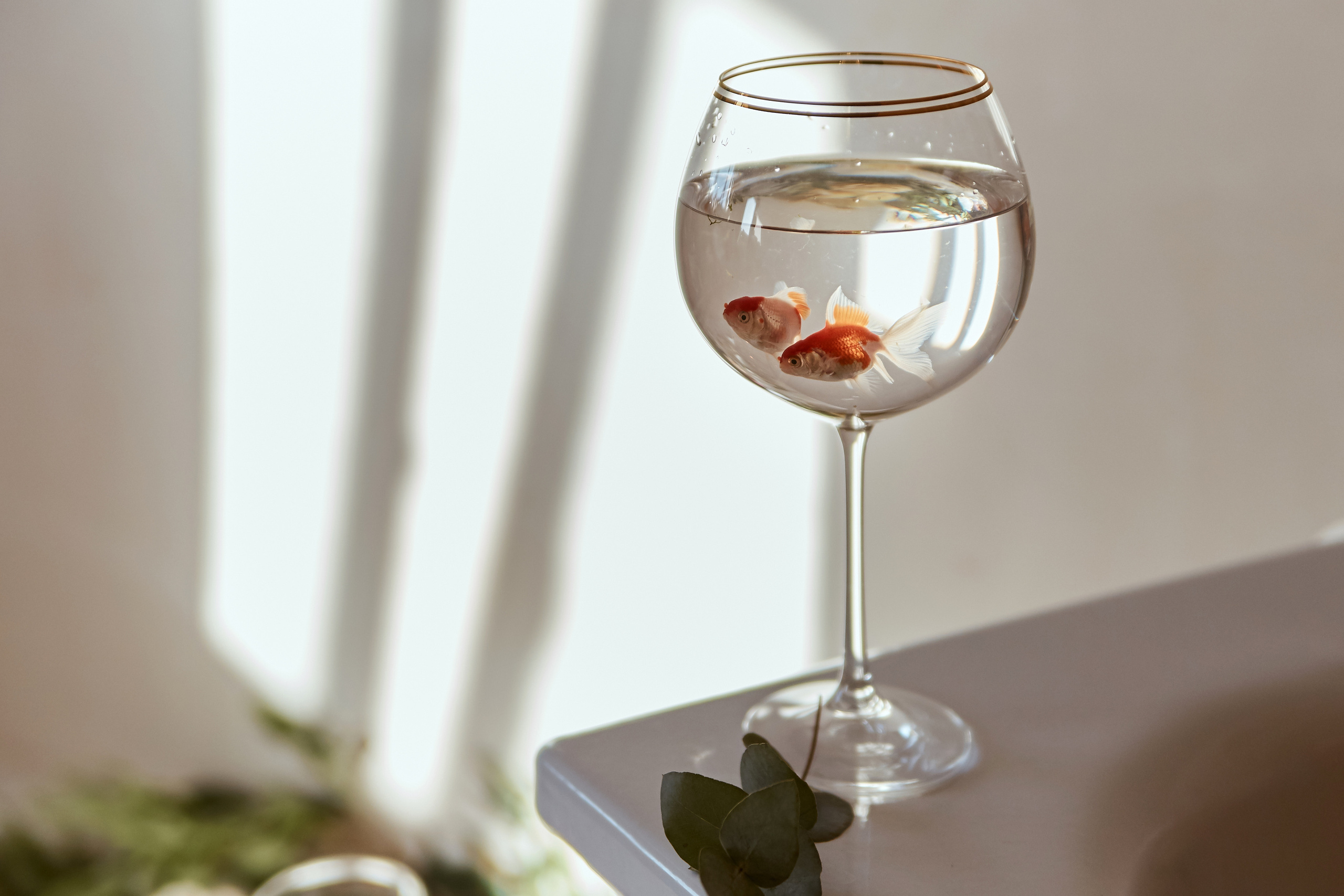 10|10|2020. Анастасия Марунич | Блогер | Ставрополь