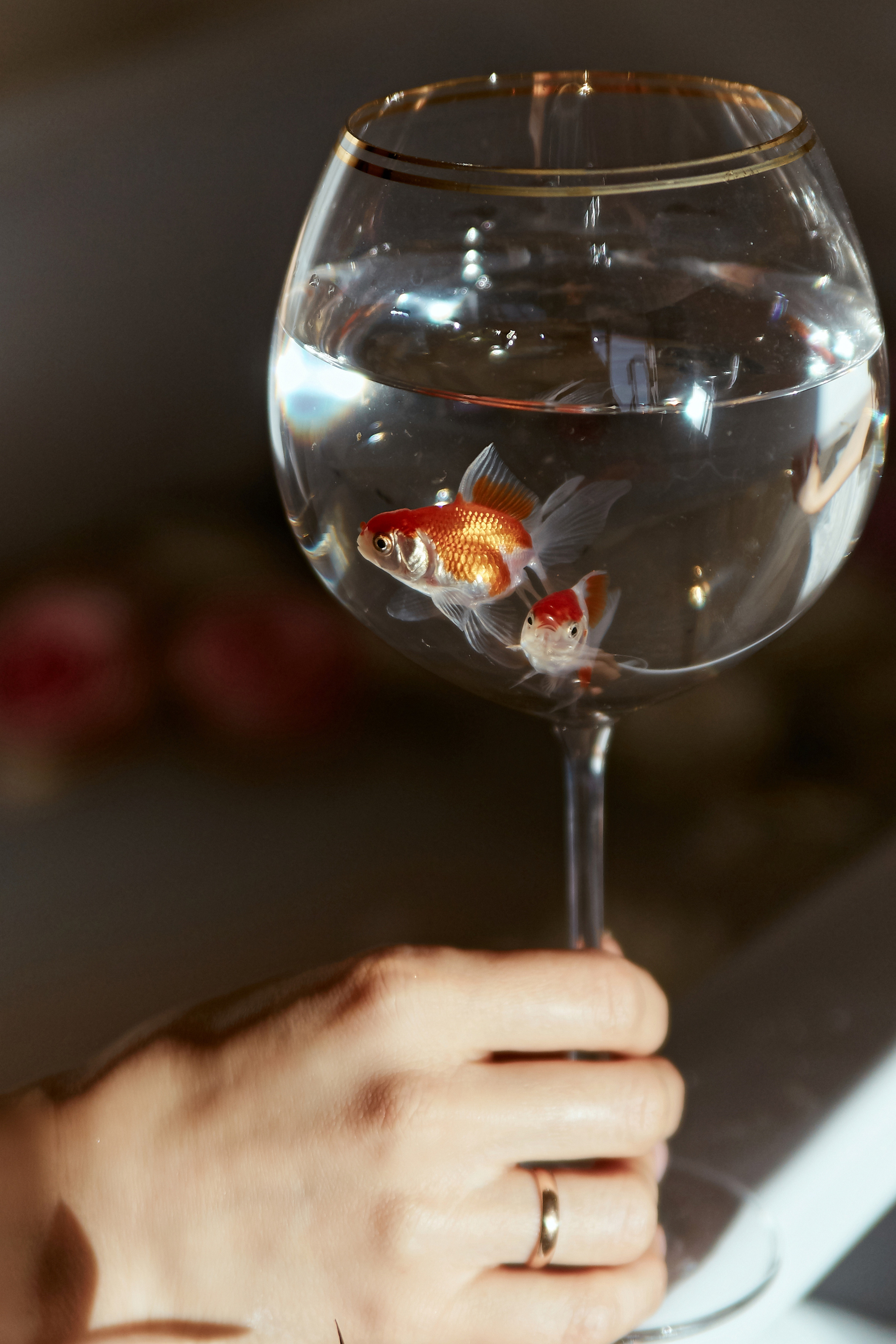 10|10|2020. Анастасия Марунич | Блогер | Ставрополь