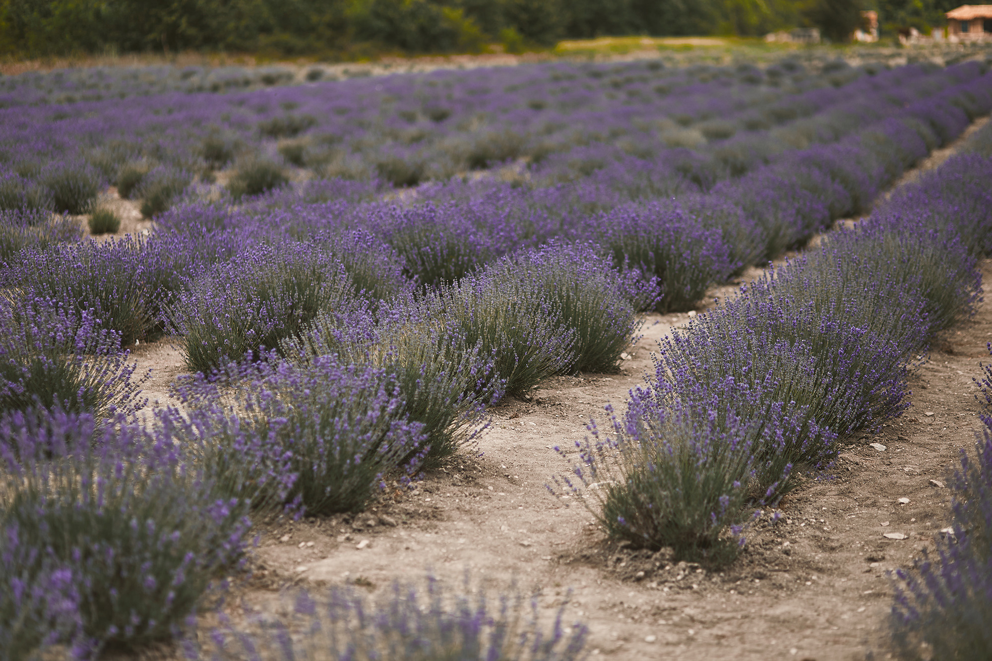 21|06|20. Анастасия Марунич | Блогер | Ставрополь