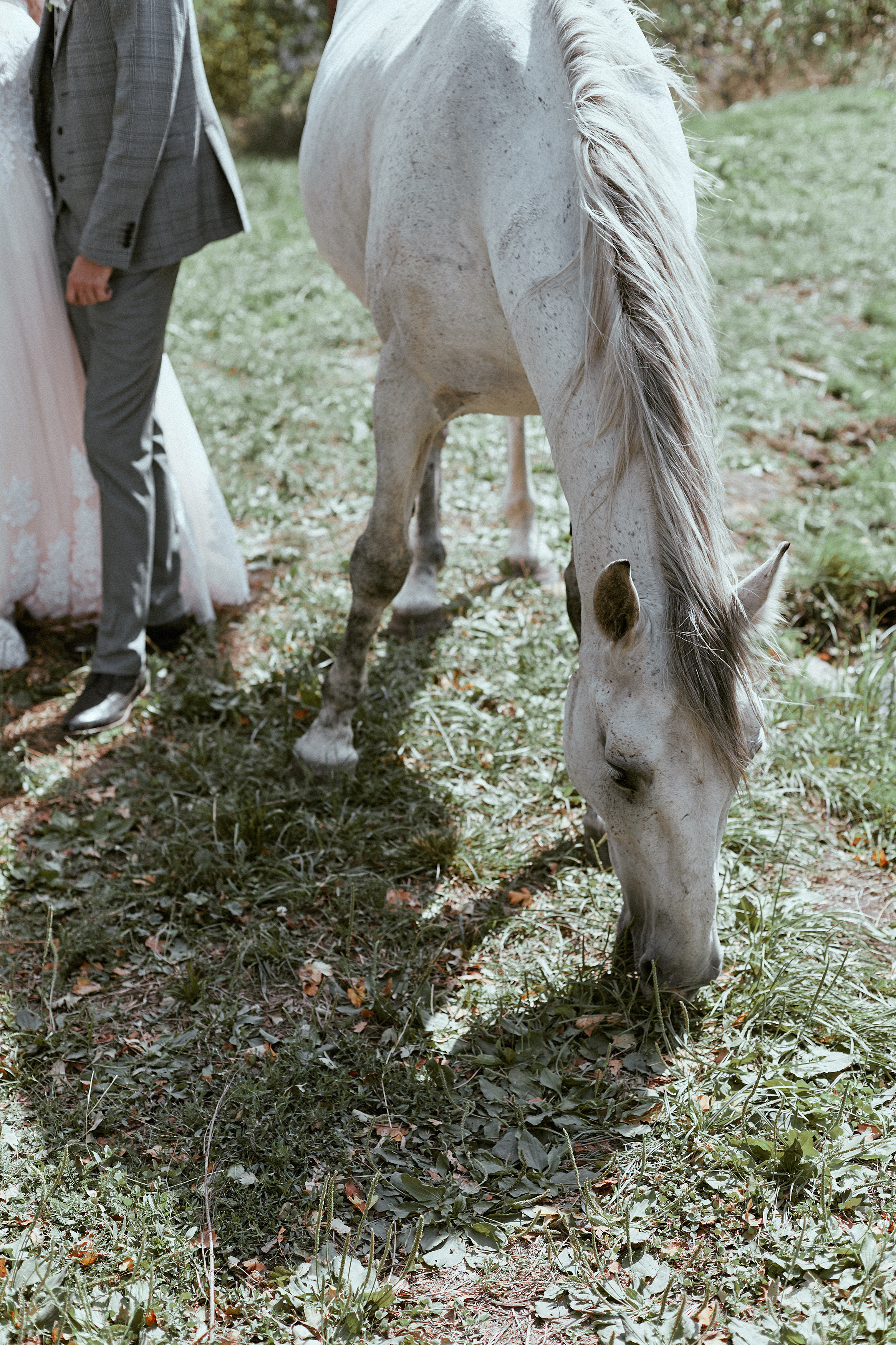 Виктория и Антон. Анастасия Марунич | Блогер | Ставрополь
