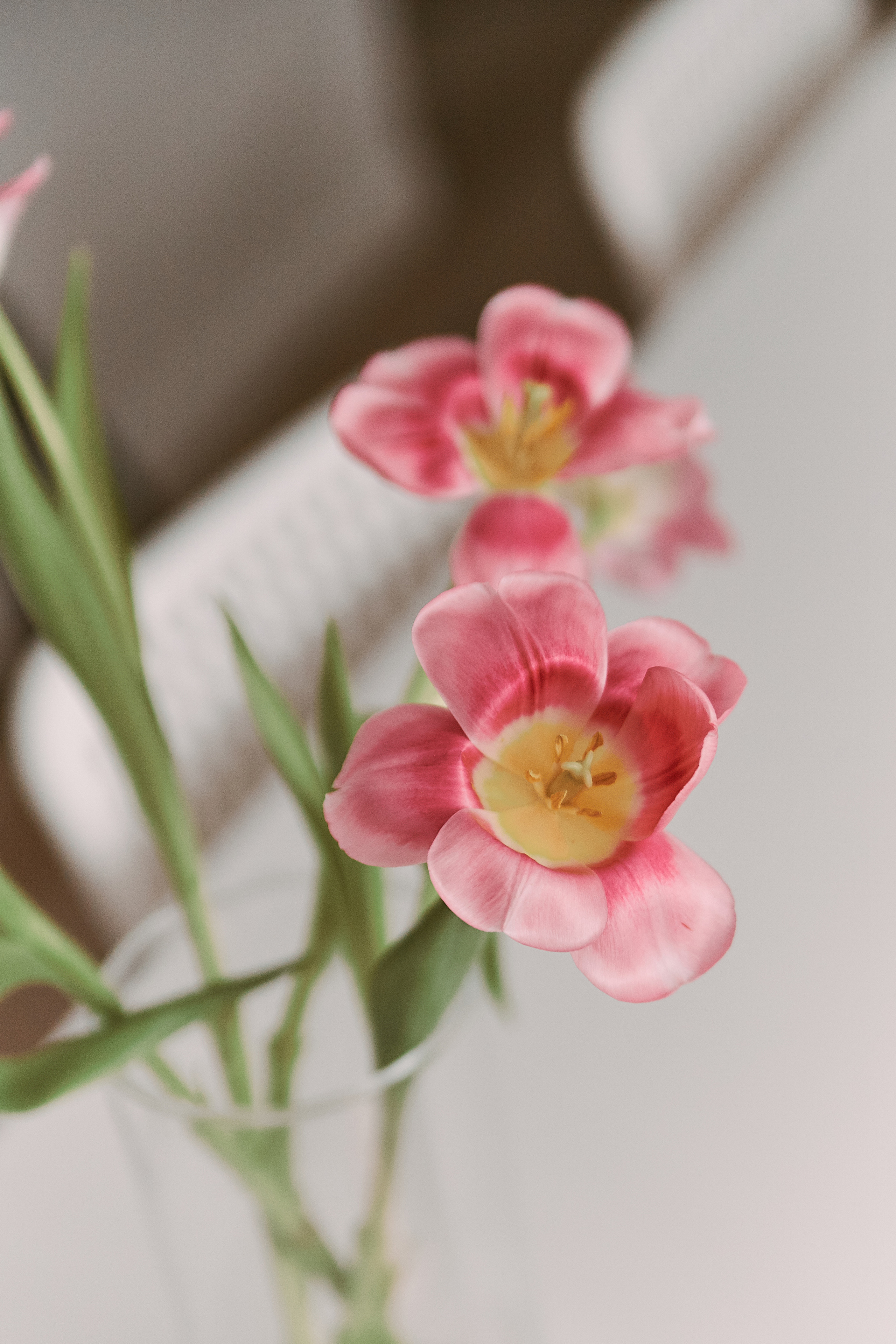 26|11|22. Анастасия Марунич | Блогер | Ставрополь