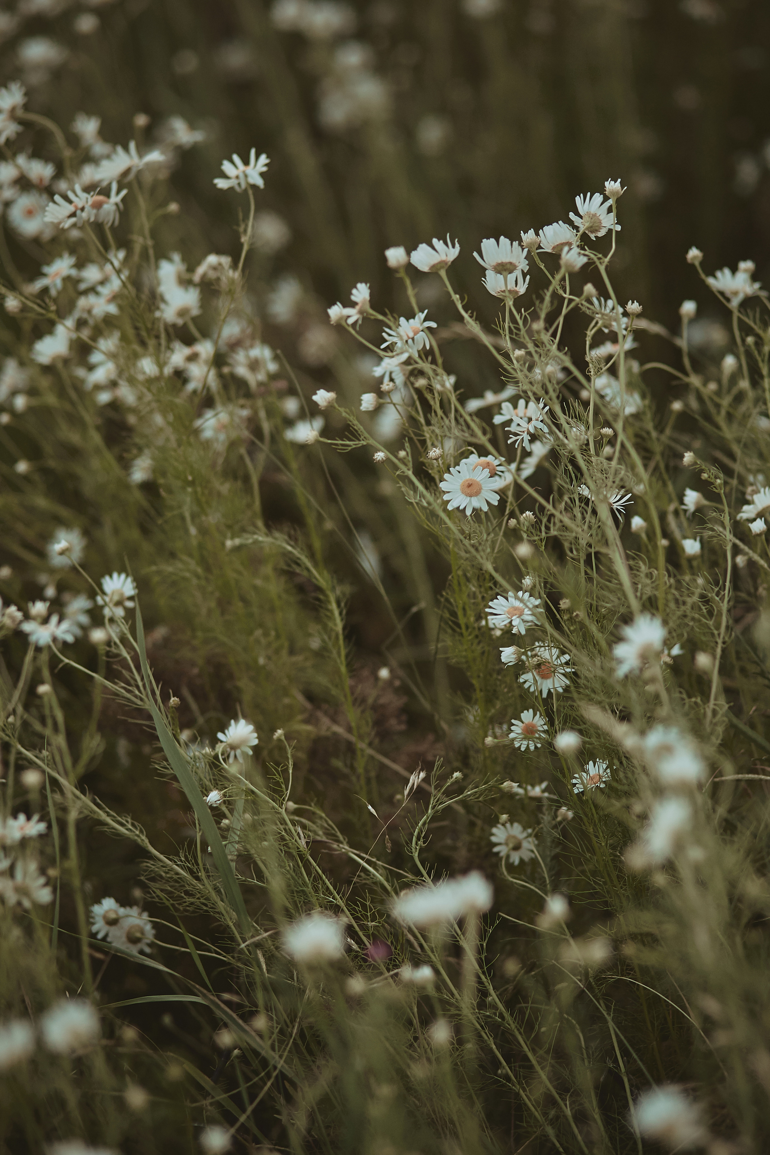 Анна и Андрей. Анастасия Марунич | Блогер | Ставрополь
