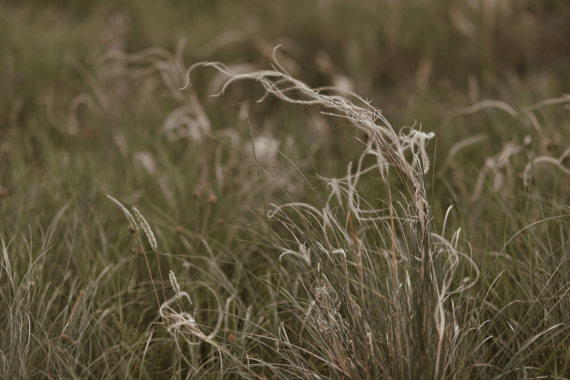 11|06|20. Анастасия Марунич | Блогер | Ставрополь
