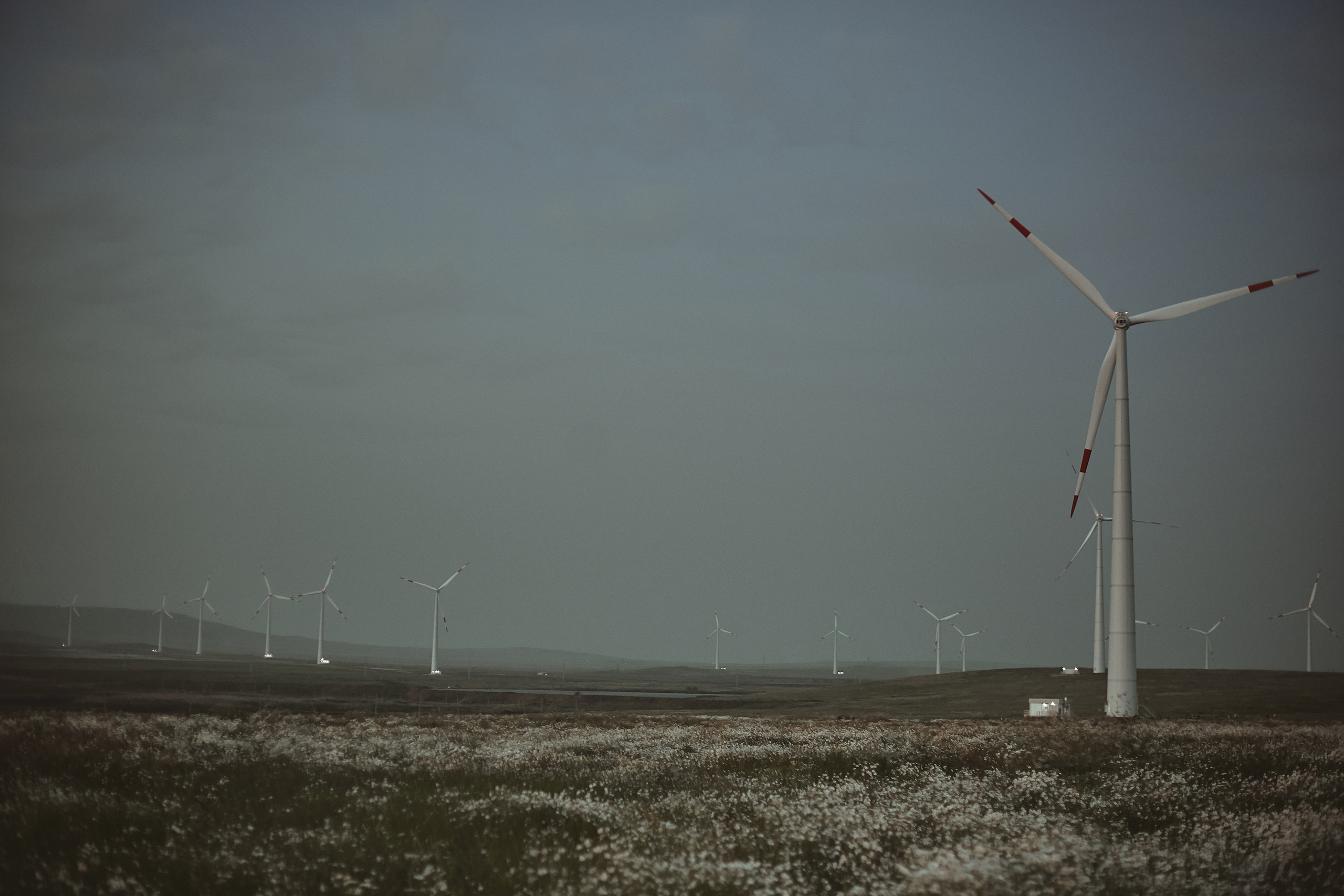 Анна и Андрей. Анастасия Марунич | Блогер | Ставрополь