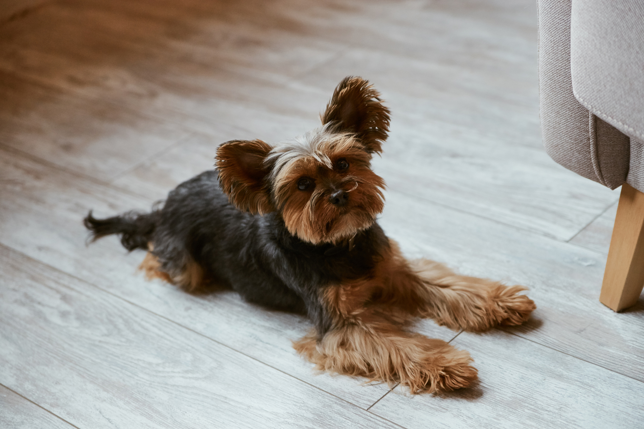 28|12|22. Анастасия Марунич | Блогер | Ставрополь