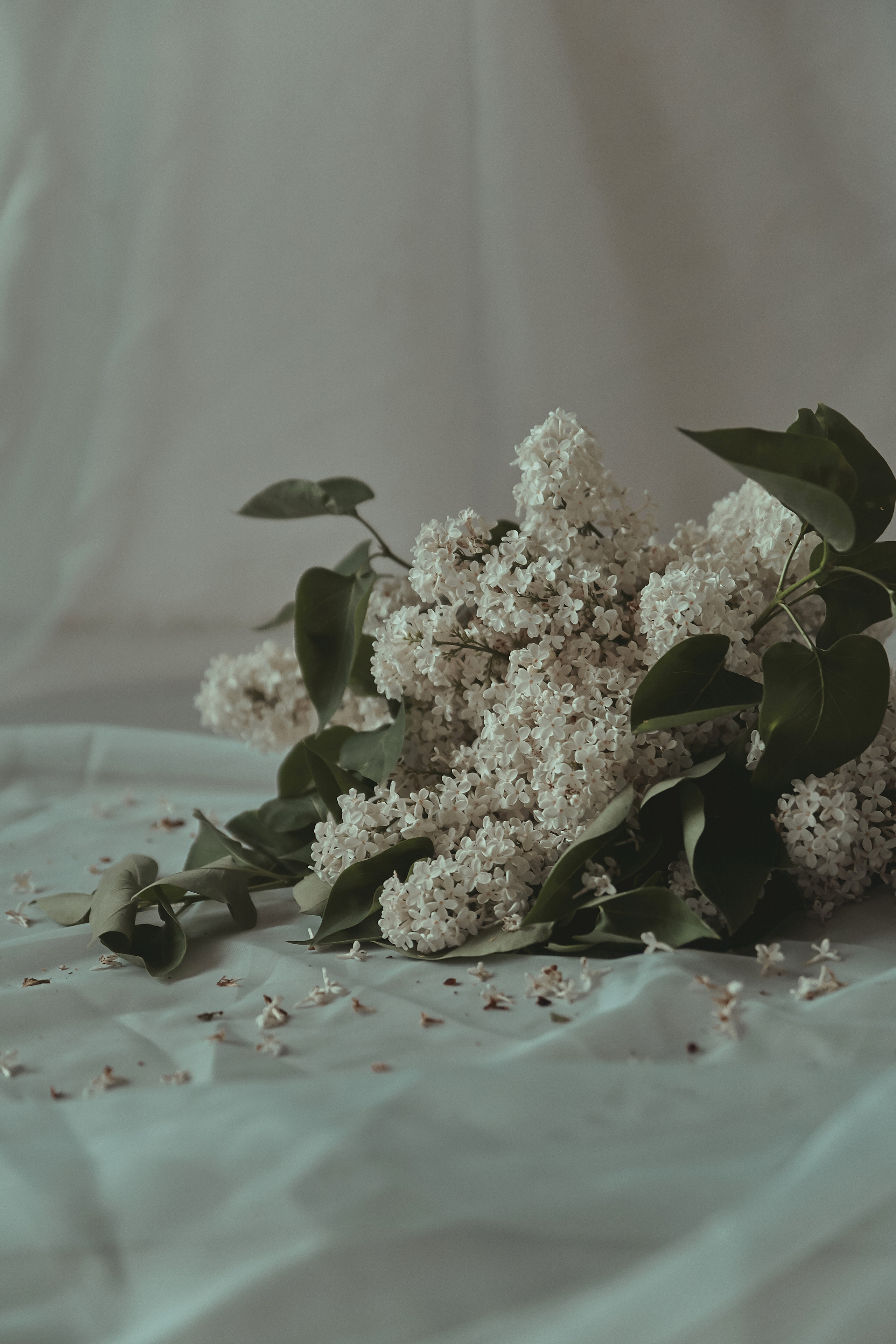 17|05|21. Анастасия Марунич | Блогер | Ставрополь