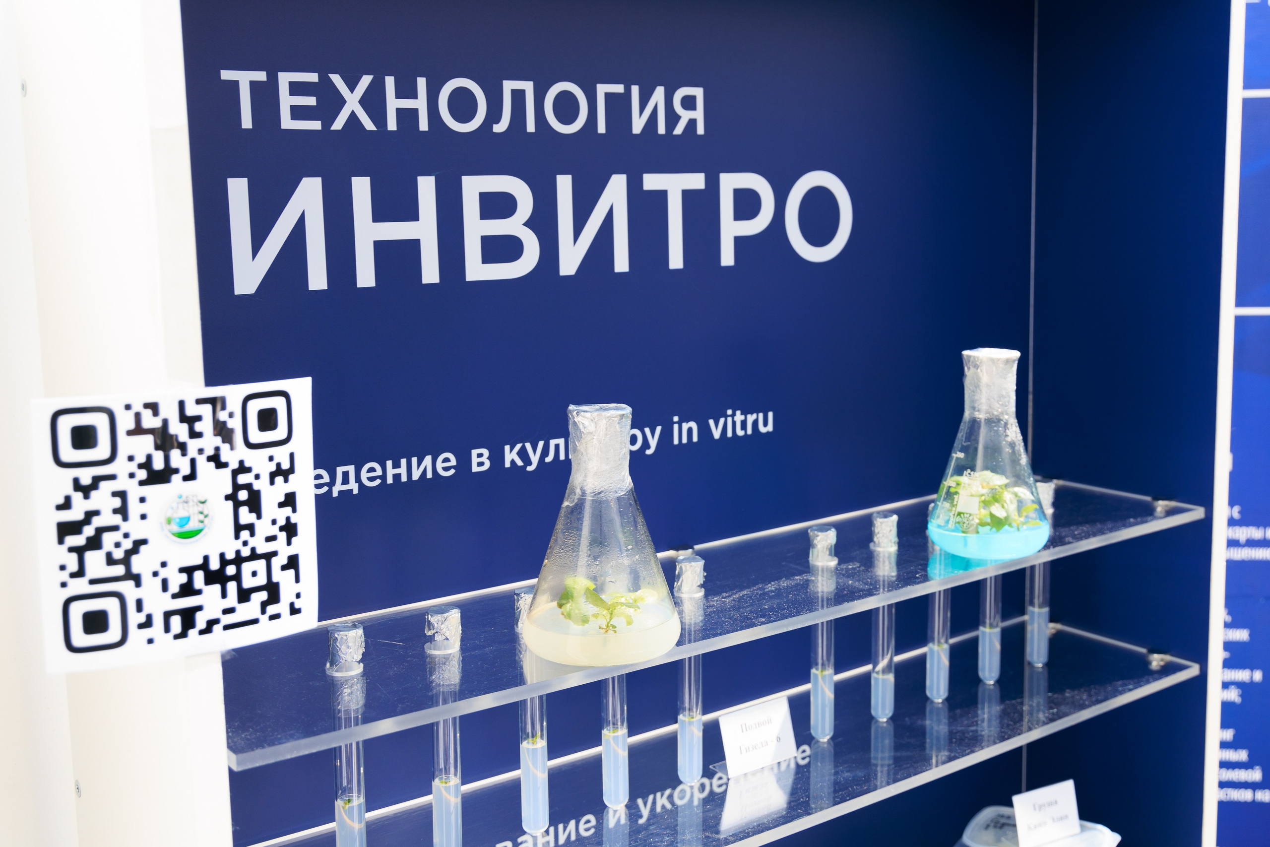 Репортажный фотограф. Репортажная фотосъёмка Минеральные Воды, Пятигорск, Кисловодск, Ставрополь. Репортажный и свадебный фотограф Пятигорск и КМВ