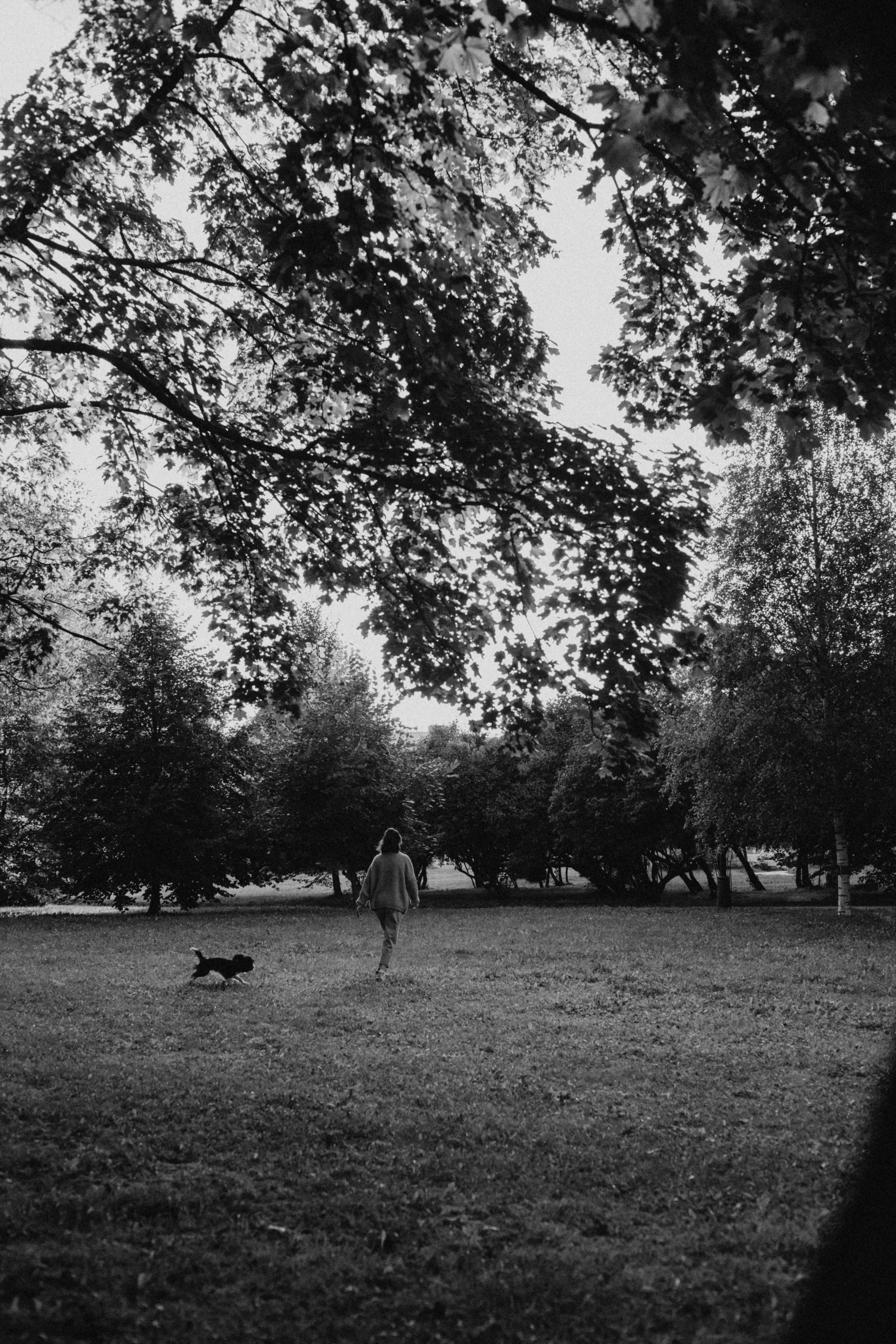 Один день из жизни Стеши и её родных. Фотограф — анималист •love-story•|Санкт-Петербург