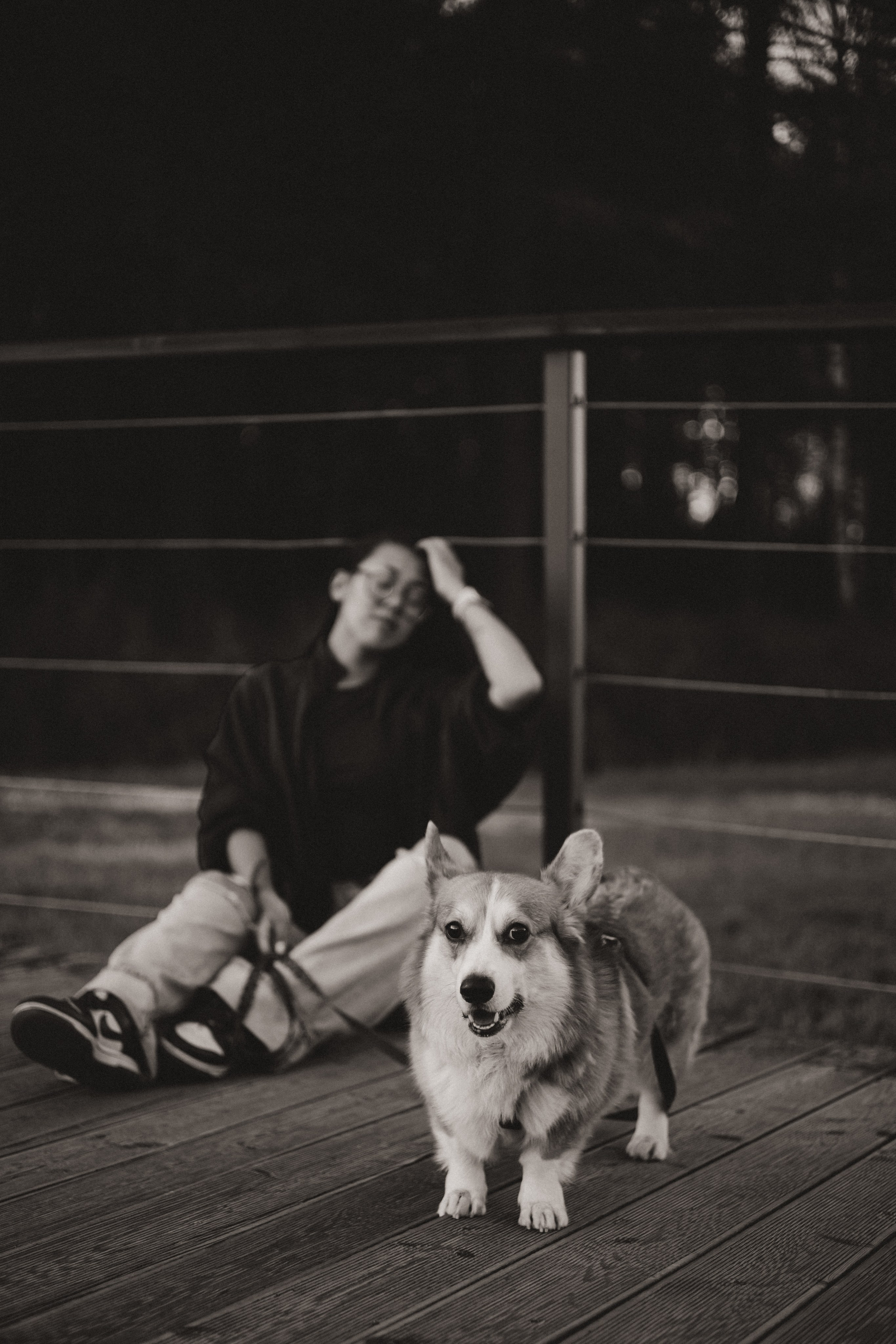 Йосик и его Мари. Фотограф — анималист •love-story•|Санкт-Петербург