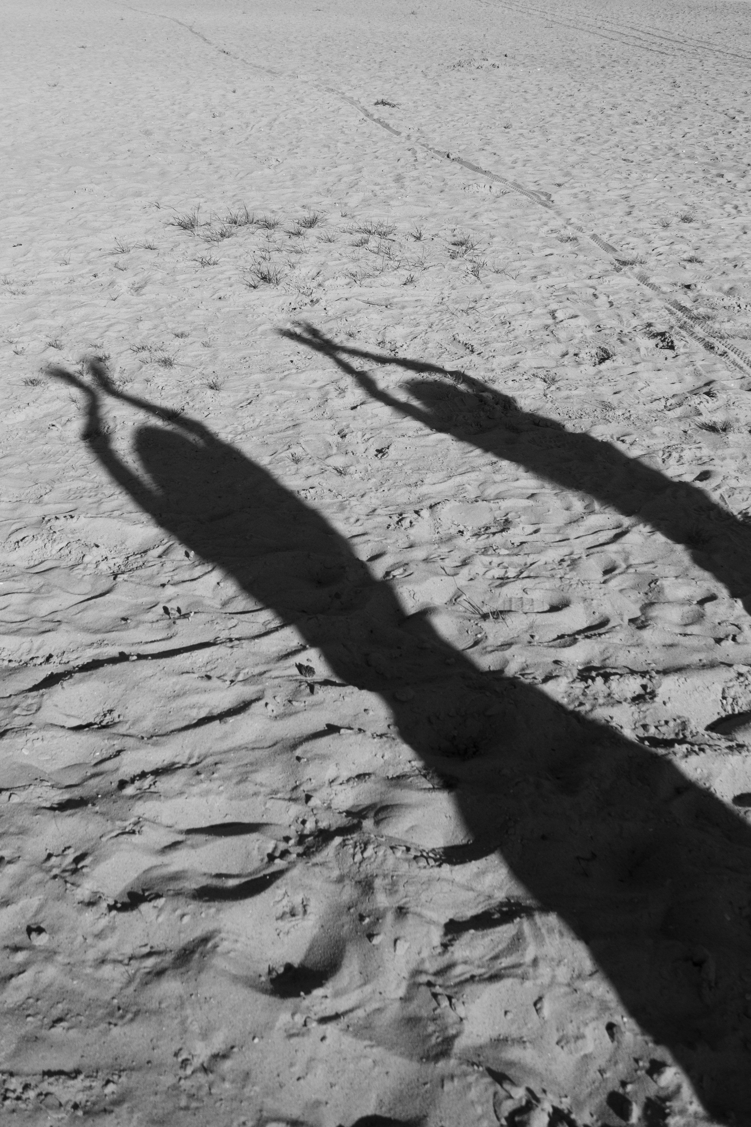 Елена и Ольга. Фотограф в Москве