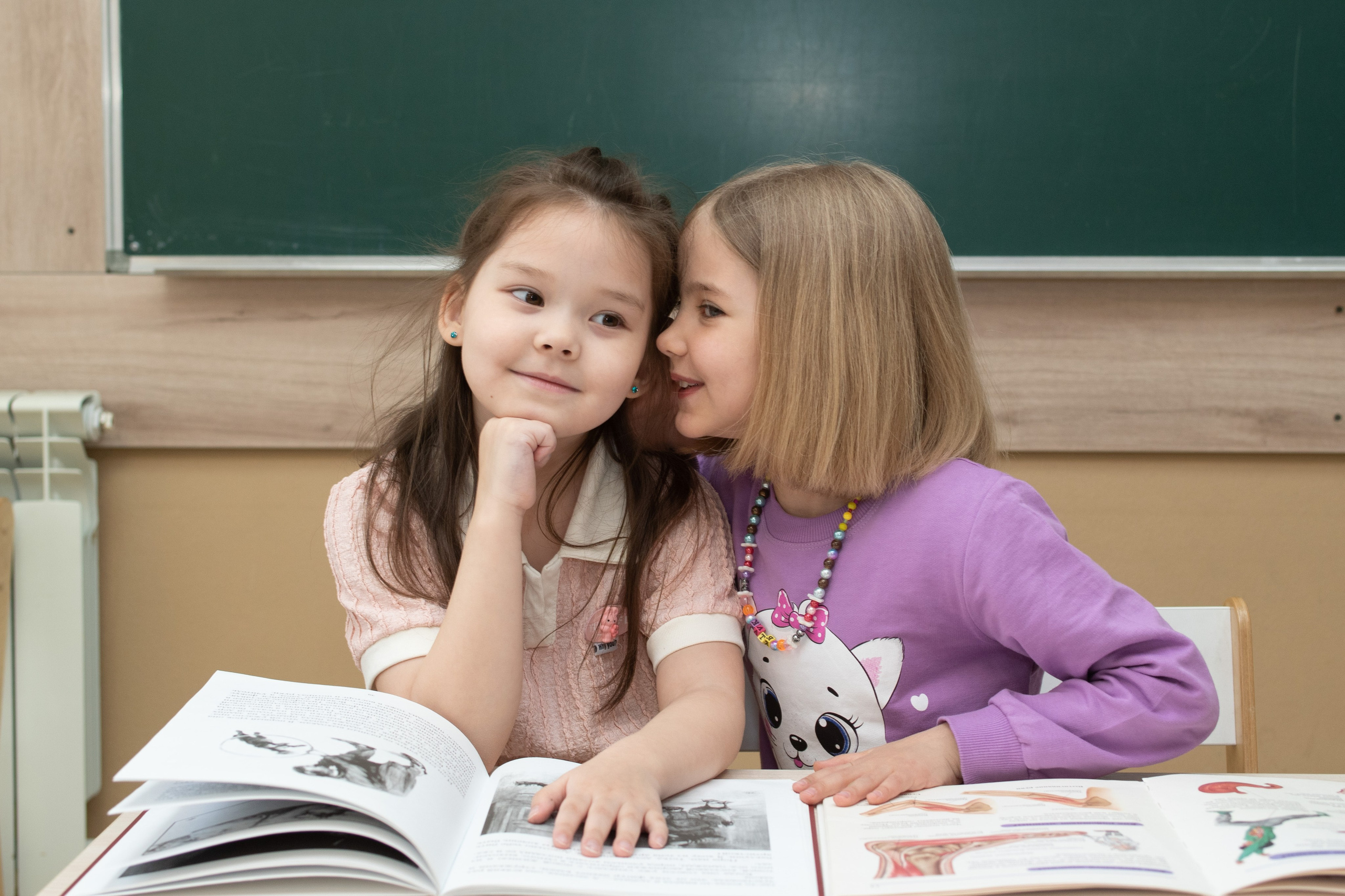 Детский сад. Школьный фотограф, Новосибирск. Выпускные альбомы для школьников и детских садов, общие фото и «классные истории» для невыпускных классов