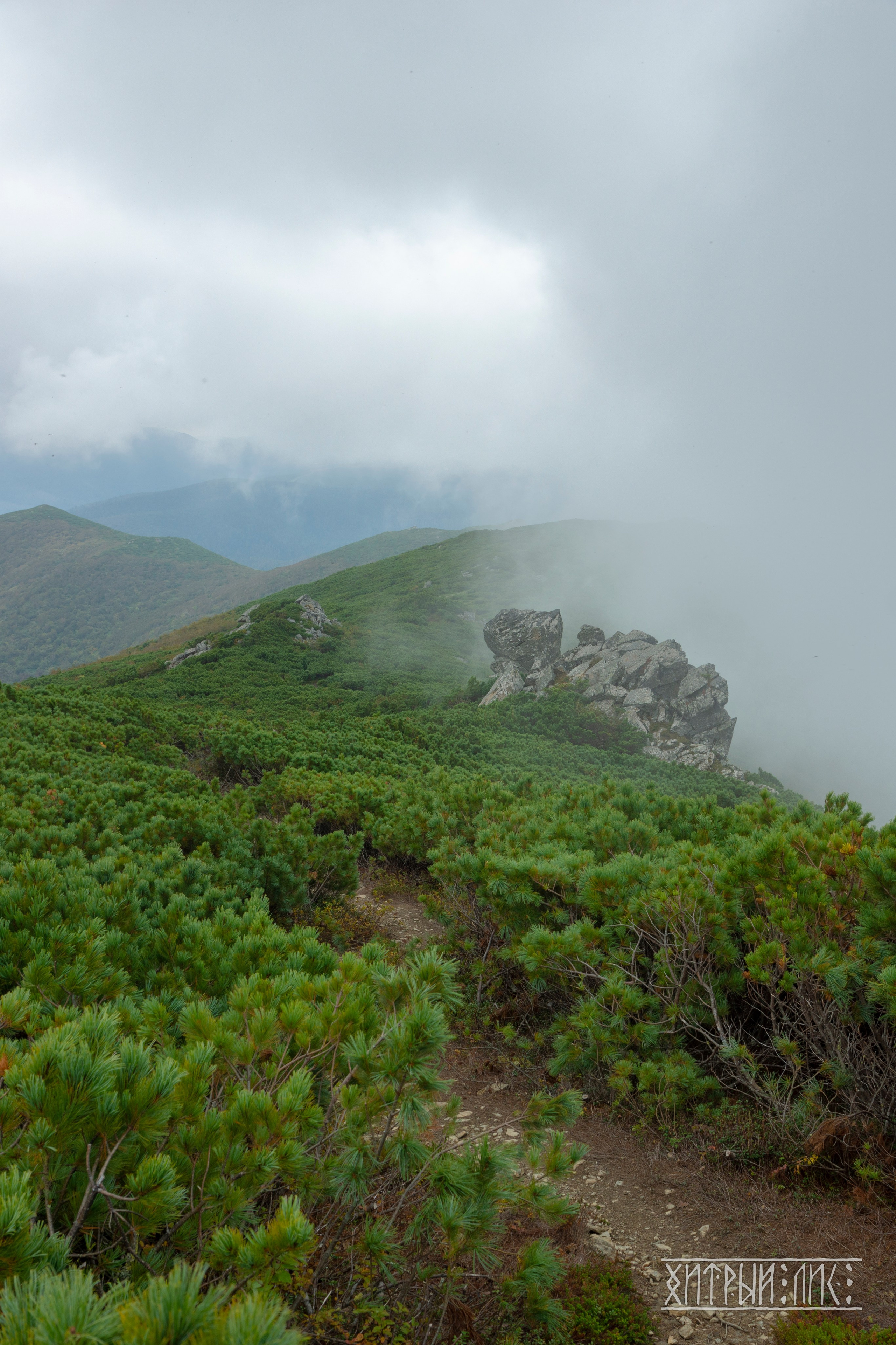 Сахалин. Фотограф-путешественник Самойлов Максим «Sly Fox»