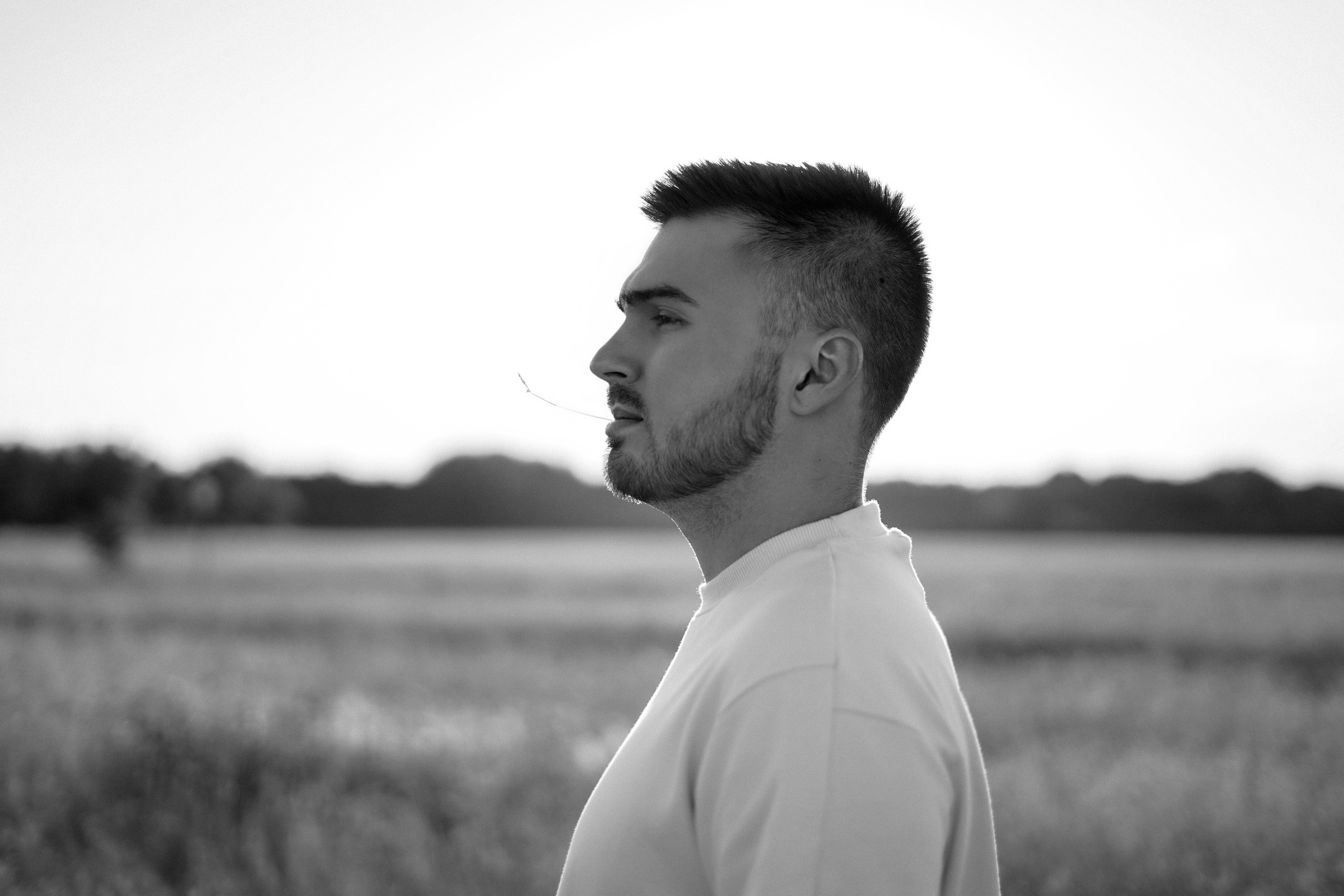 Семейная фотосессия в поле. Фотограф Москва, визуальный менеджер Дарья Шевченко