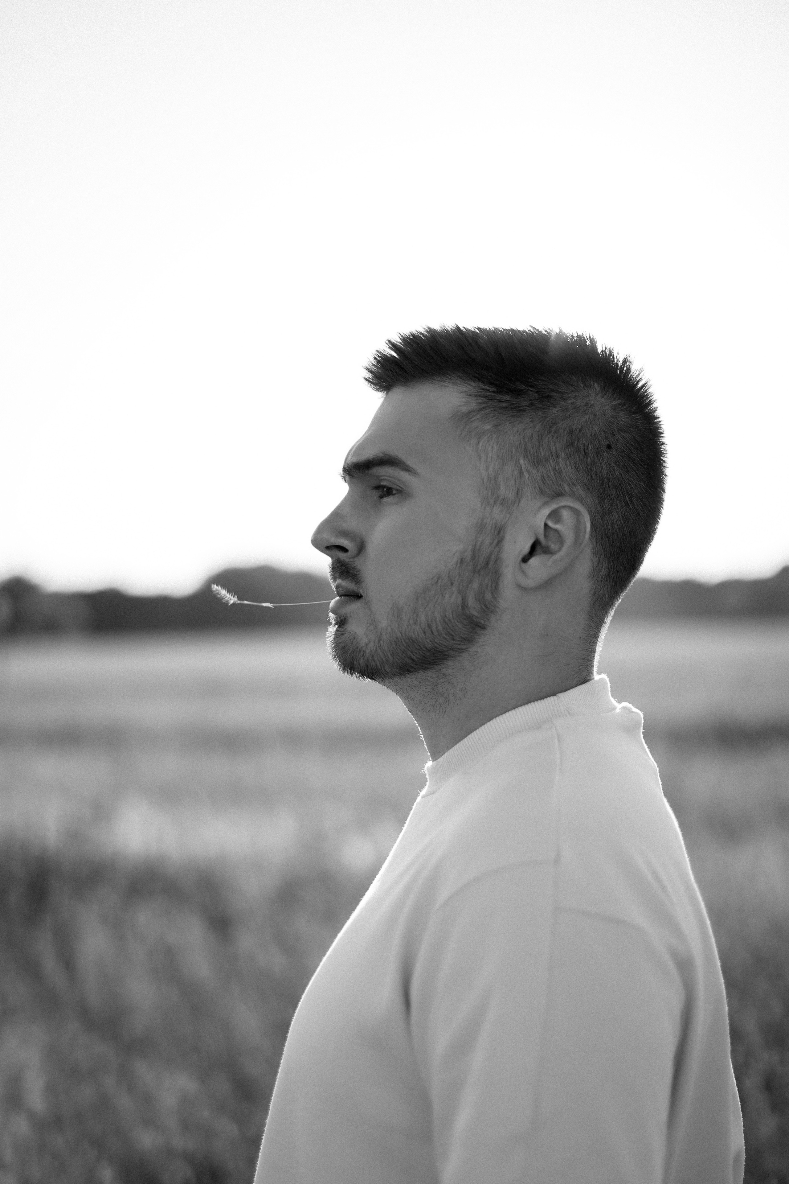 Семейная фотосессия в поле. Фотограф Москва, визуальный менеджер Дарья Шевченко