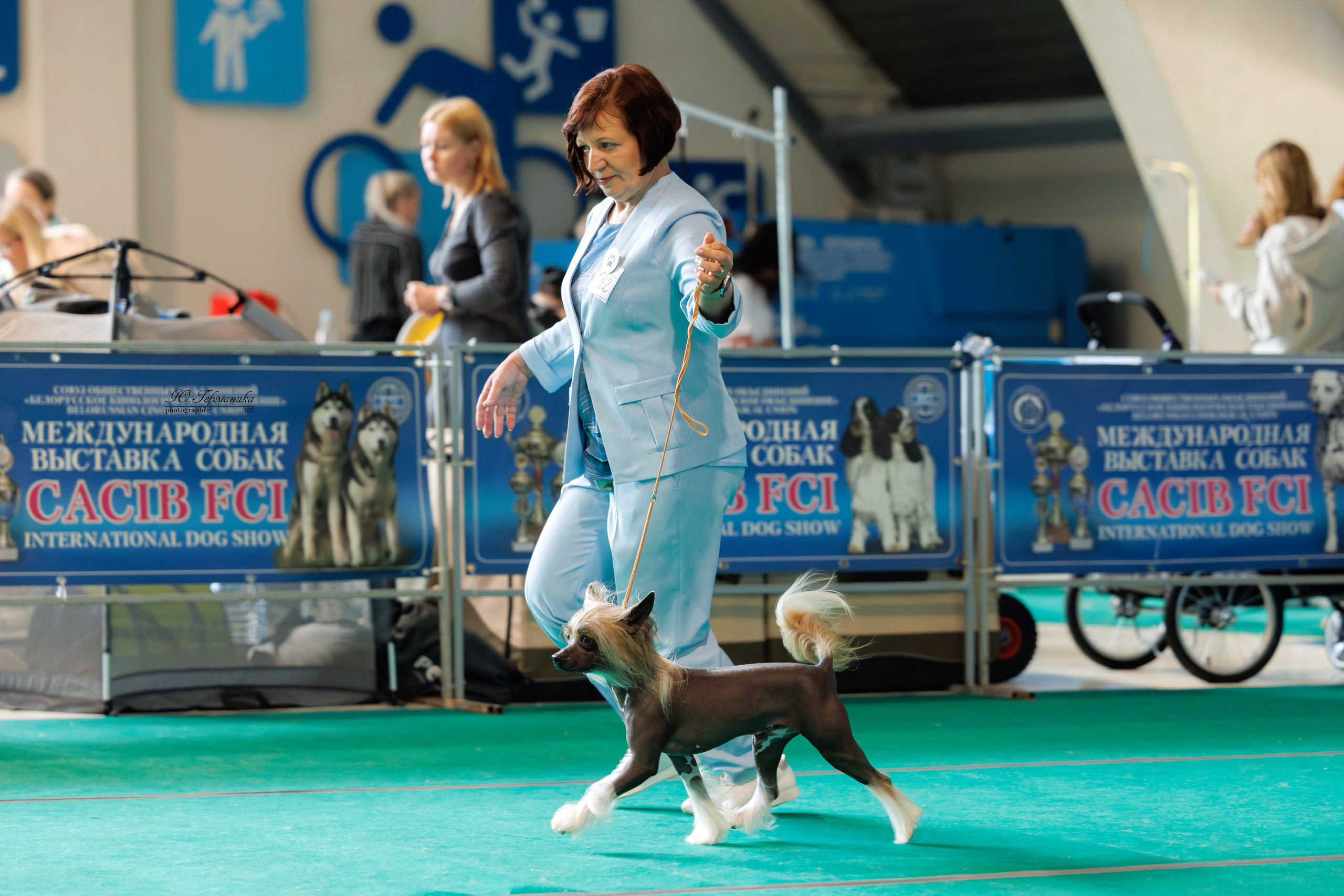Минск 31.05-1.06.2025. Фотограф-анималист Юлия Германика