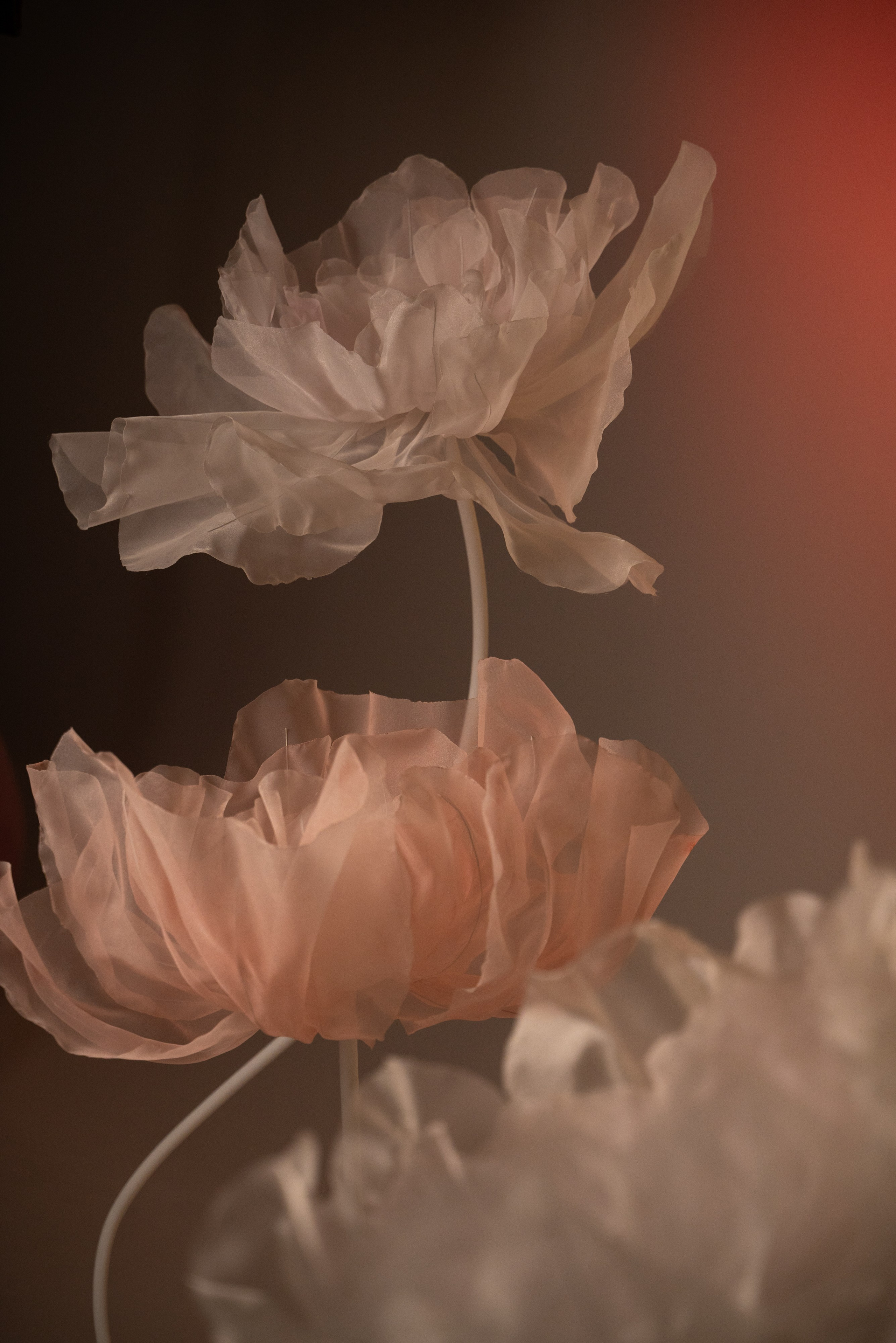 Настя. Свадебный и семейный фотограф в Рязани — Москве Екатерина Ермакова