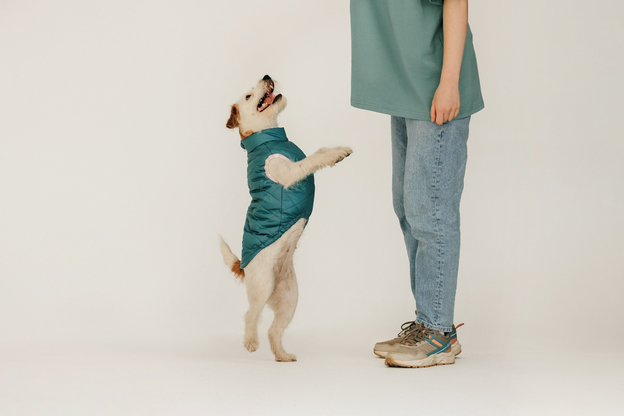 Одежда Lapa`s brand. Фотограф-анималист Елена Радченко, Москва