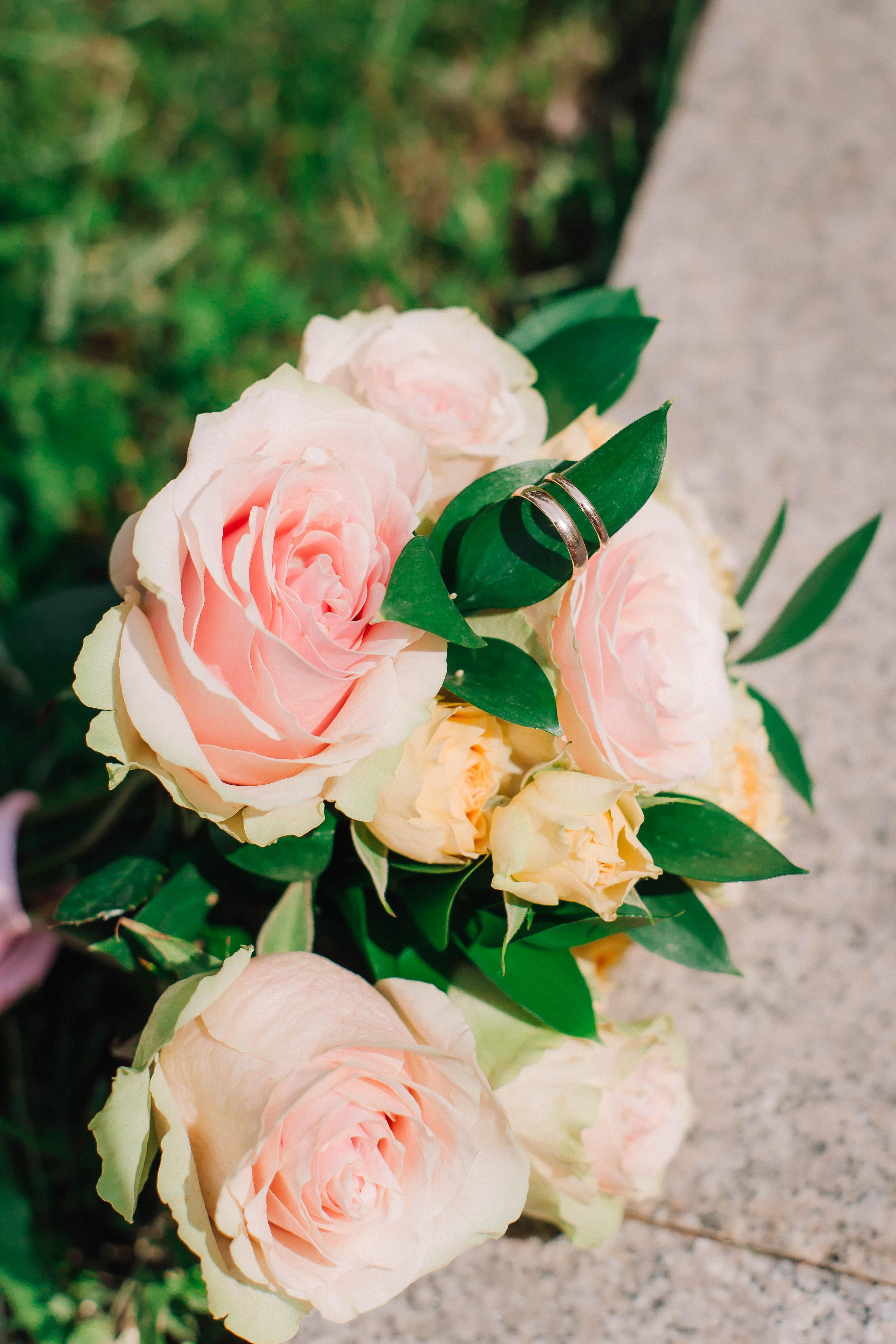 Загс+Прогулка. Фотограф в Иркутске