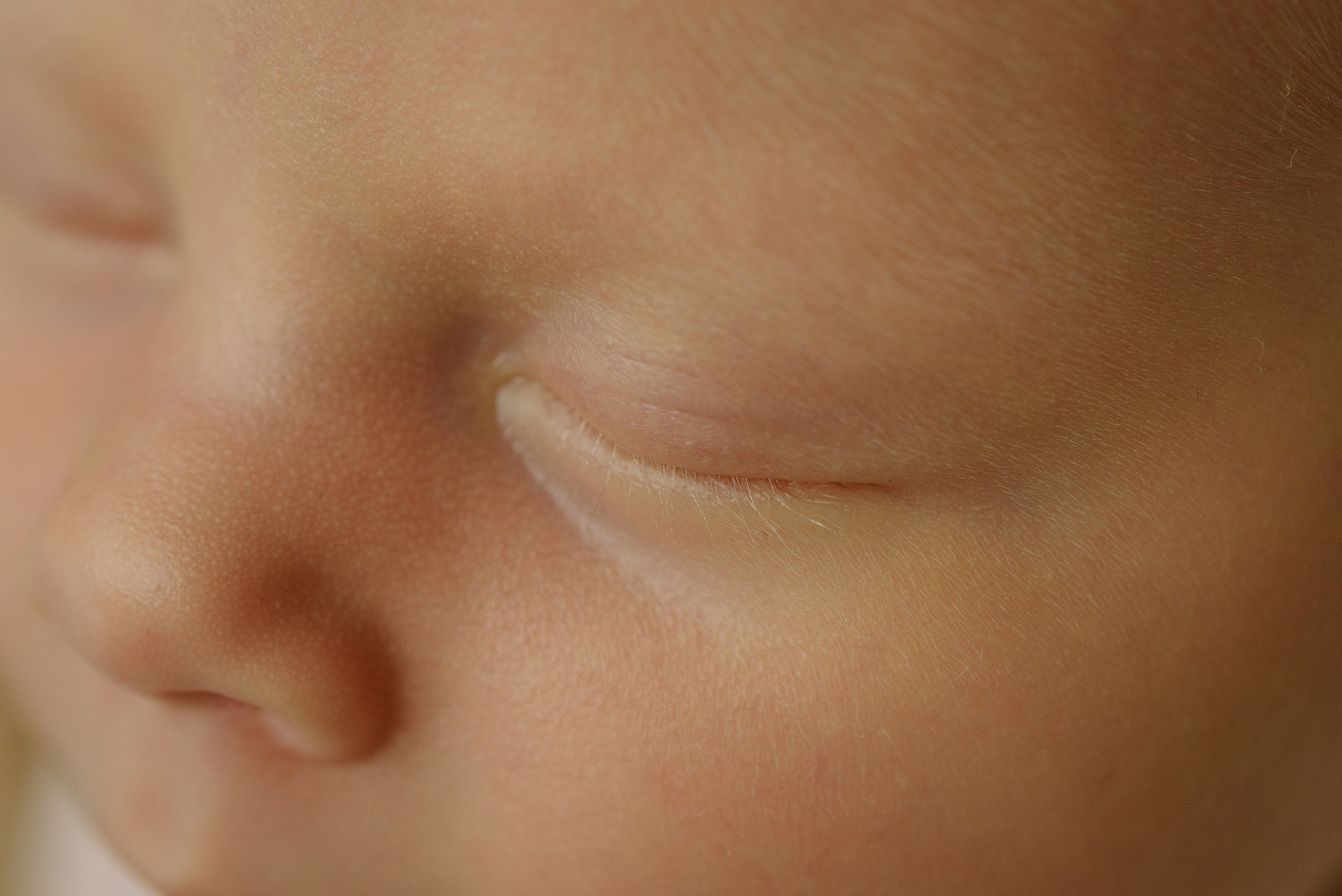 Арина. Фотограф новорожденных Белгород